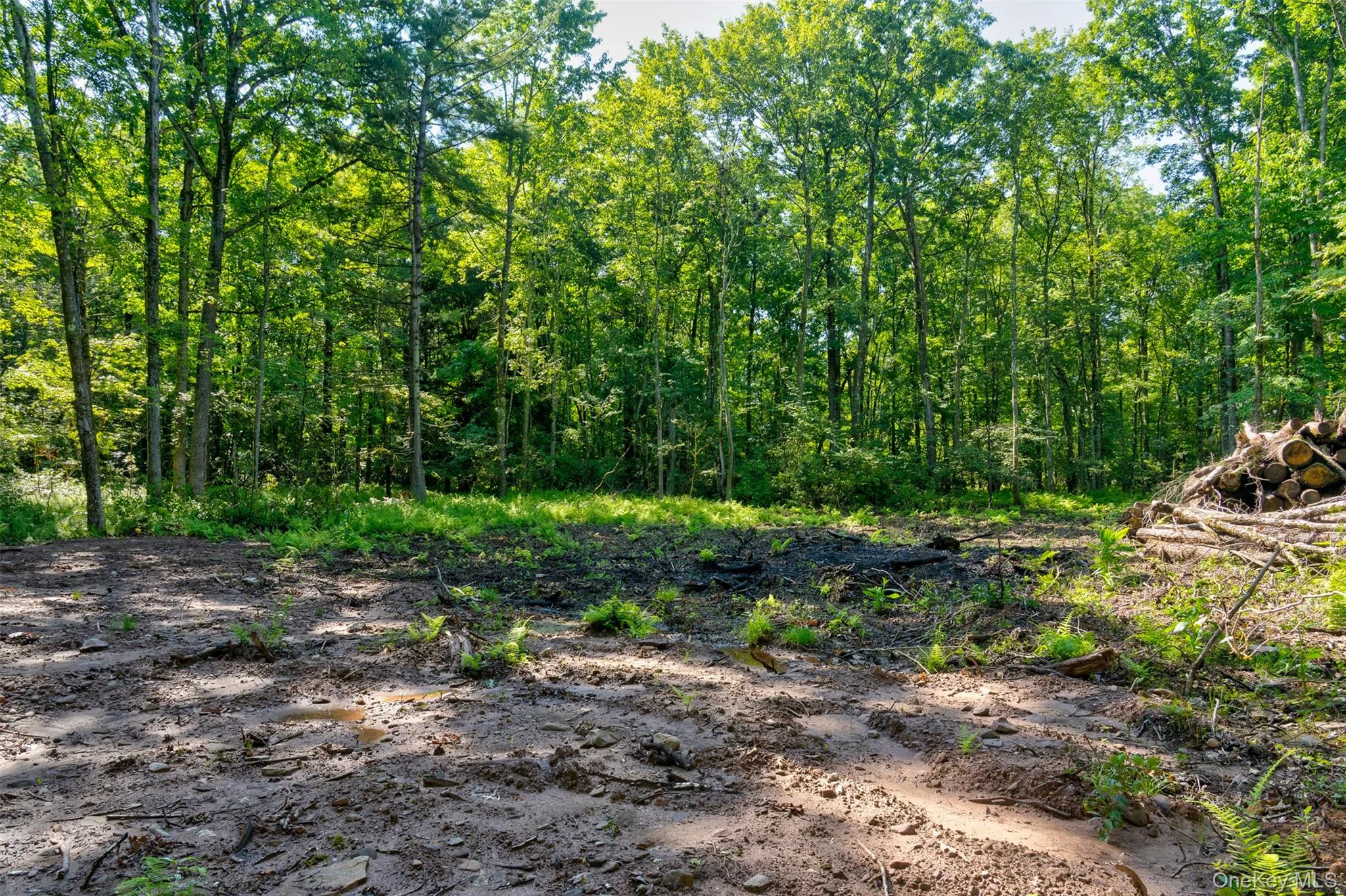 Lot 22 Perry Pond Road, Tusten, NY, ,Land,For Rent,Perry Pond,0,1032901 Lot 22 Perry Pond Road, Tusten, NY, ,Land,For Rent,Perry Pond,0,1032901