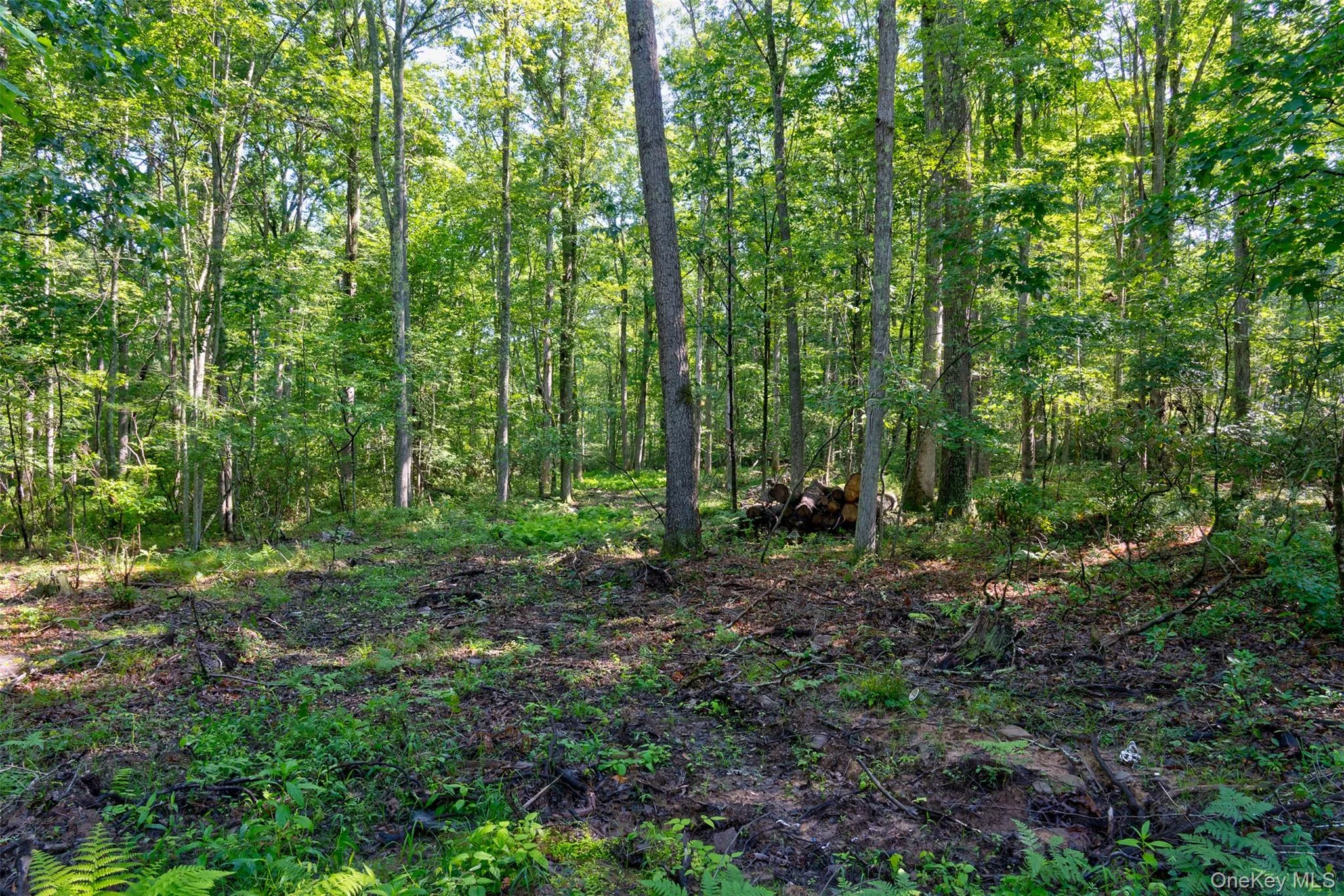 Lot 22 Perry Pond Road, Tusten, NY, ,Land,For Rent,Perry Pond,0,1032901 Lot 22 Perry Pond Road, Tusten, NY, ,Land,For Rent,Perry Pond,0,1032901