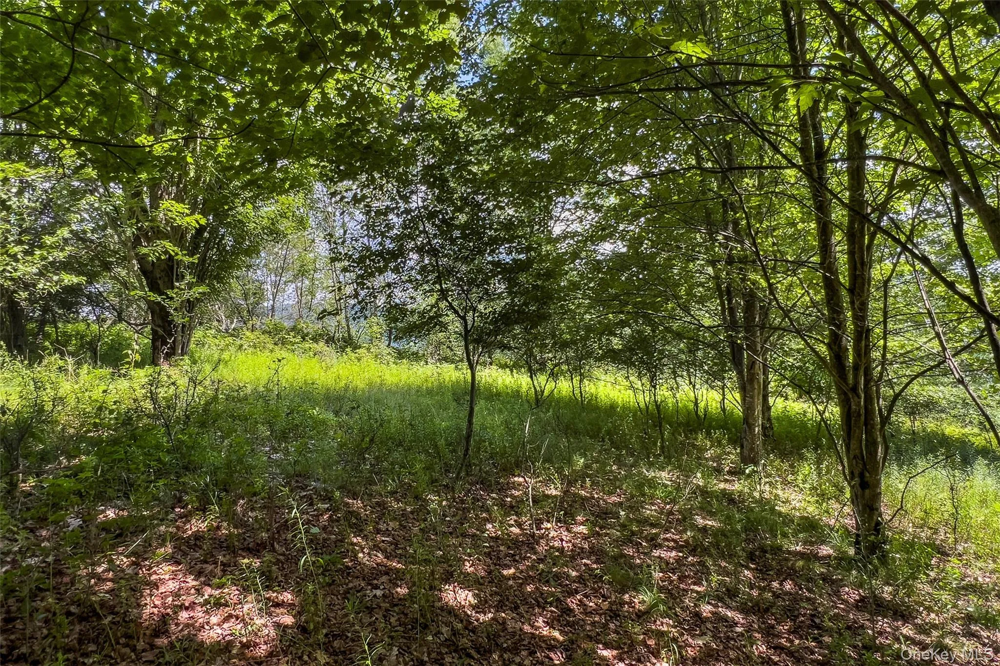 Lot 23 Lynch Road, Delhi, NY, ,Land,For Rent,Lynch,0,1032915 Lot 23 Lynch Road, Delhi, NY, ,Land,For Rent,Lynch,0,1032915