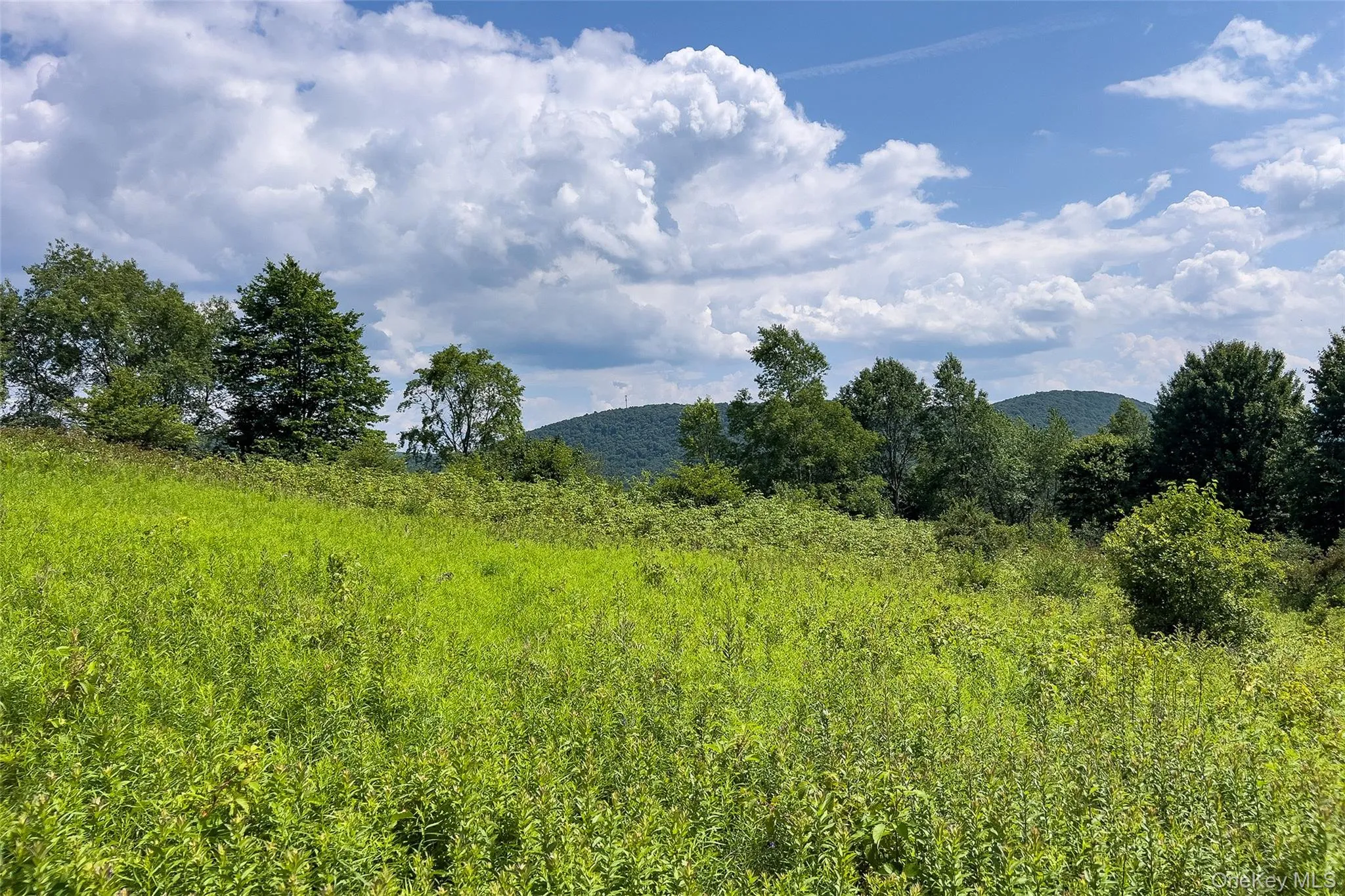 Lot 23 Lynch Road, Delhi, NY, ,Land,For Rent,Lynch,0,1032915 Lot 23 Lynch Road, Delhi, NY, ,Land,For Rent,Lynch,0,1032915