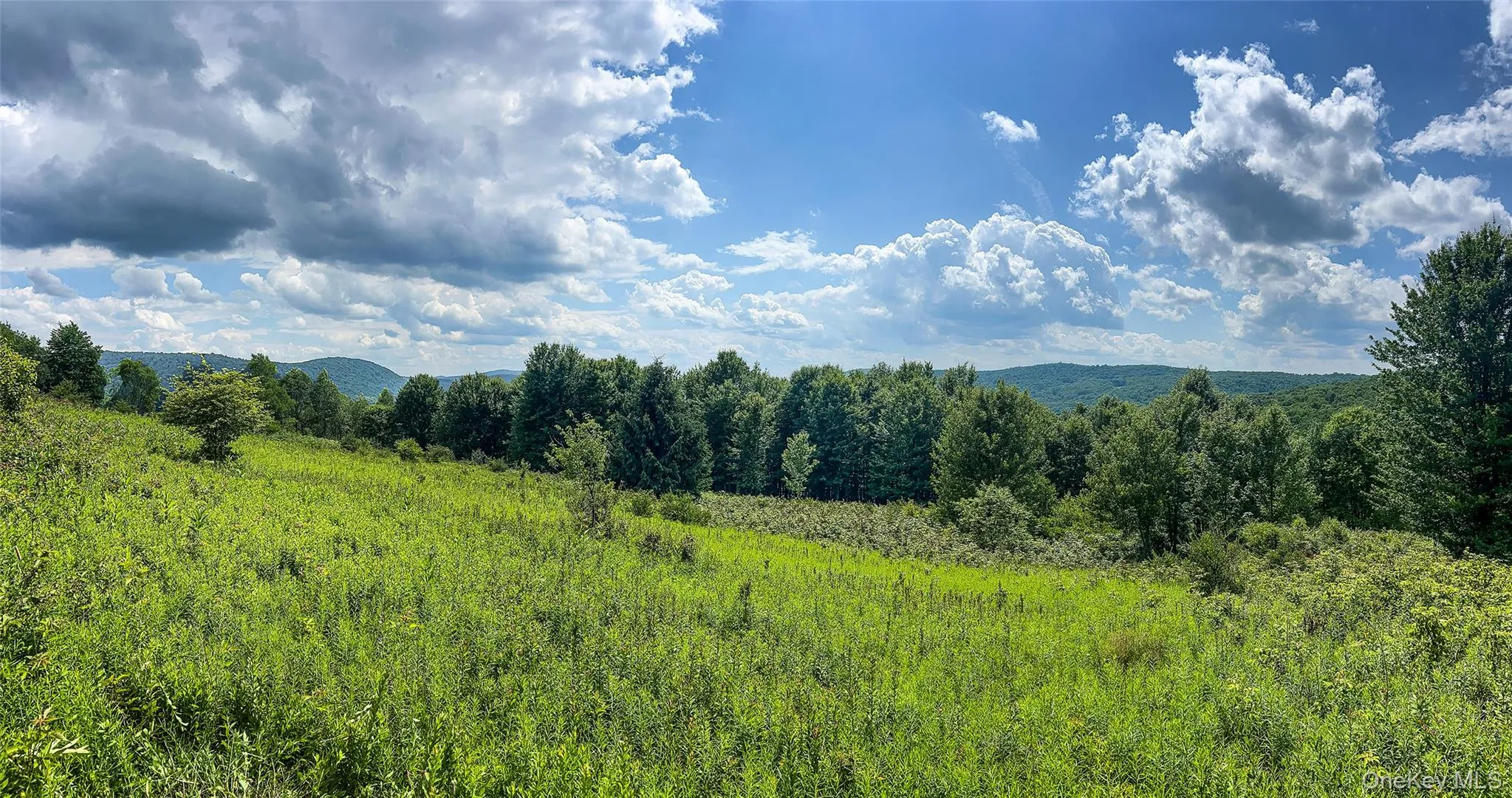 Lot 23 Lynch Road, Delhi, NY, ,Land,For Rent,Lynch,0,1032915 Lot 23 Lynch Road, Delhi, NY, ,Land,For Rent,Lynch,0,1032915
