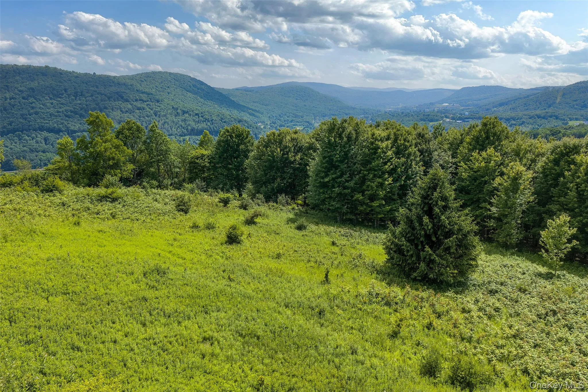 Lot 23 Lynch Road, Delhi, NY, ,Land,For Rent,Lynch,0,1032915 Lot 23 Lynch Road, Delhi, NY, ,Land,For Rent,Lynch,0,1032915