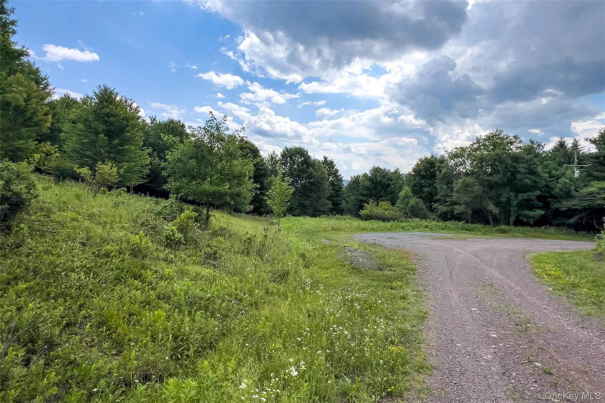 Lot 23 Lynch Road, Delhi, NY, ,Land,For Rent,Lynch,0,1032915 Lot 23 Lynch Road, Delhi, NY, ,Land,For Rent,Lynch,0,1032915