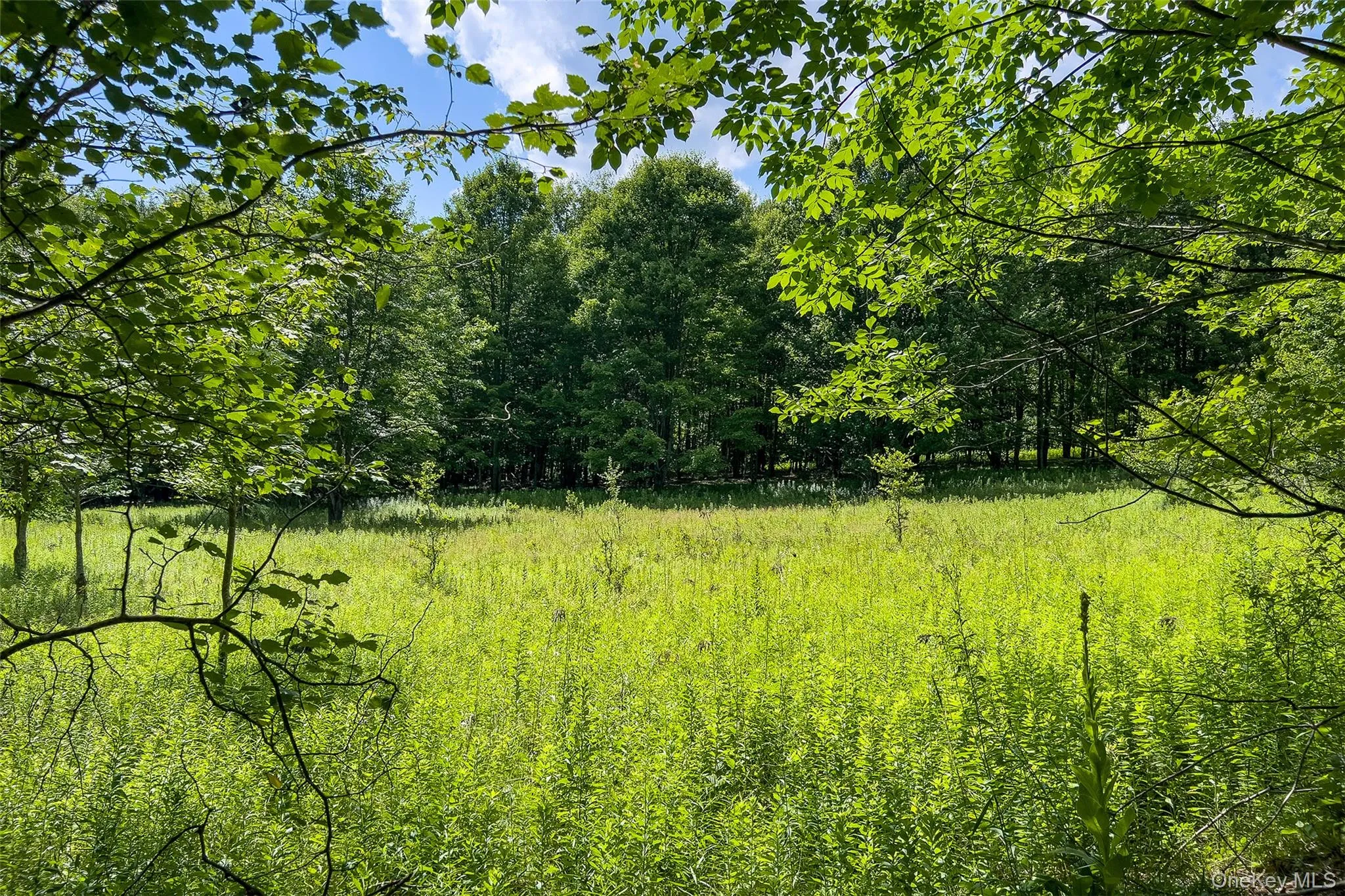 Lot 23 Lynch Road, Delhi, NY, ,Land,For Rent,Lynch,0,1032915 Lot 23 Lynch Road, Delhi, NY, ,Land,For Rent,Lynch,0,1032915