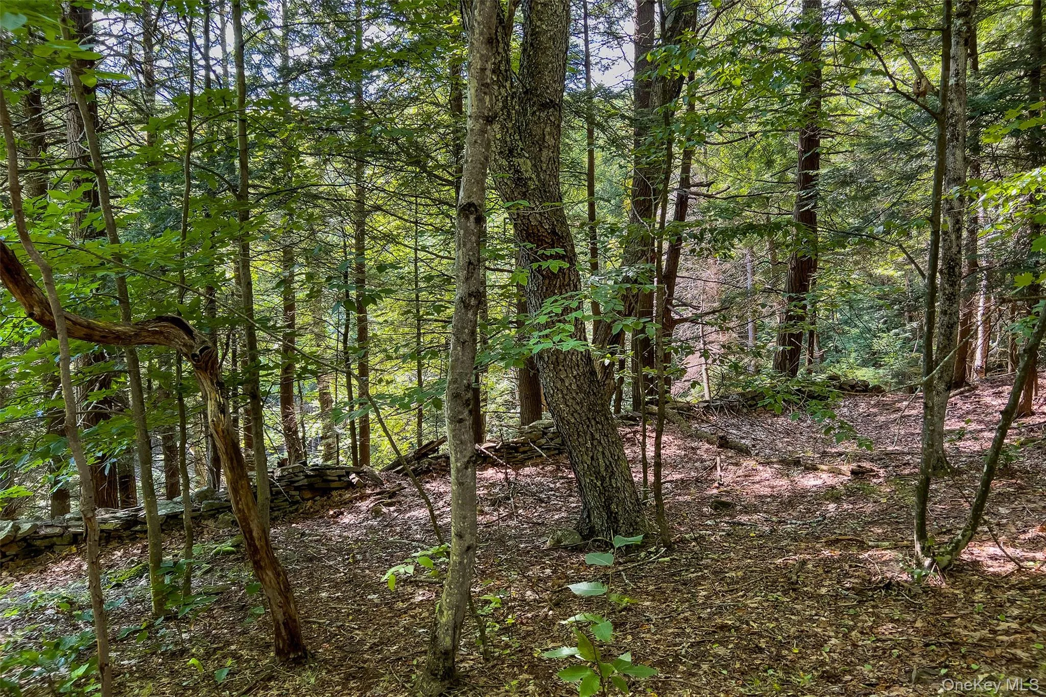Lot 23 Lynch Road, Delhi, NY, ,Land,For Rent,Lynch,0,1032915 Lot 23 Lynch Road, Delhi, NY, ,Land,For Rent,Lynch,0,1032915
