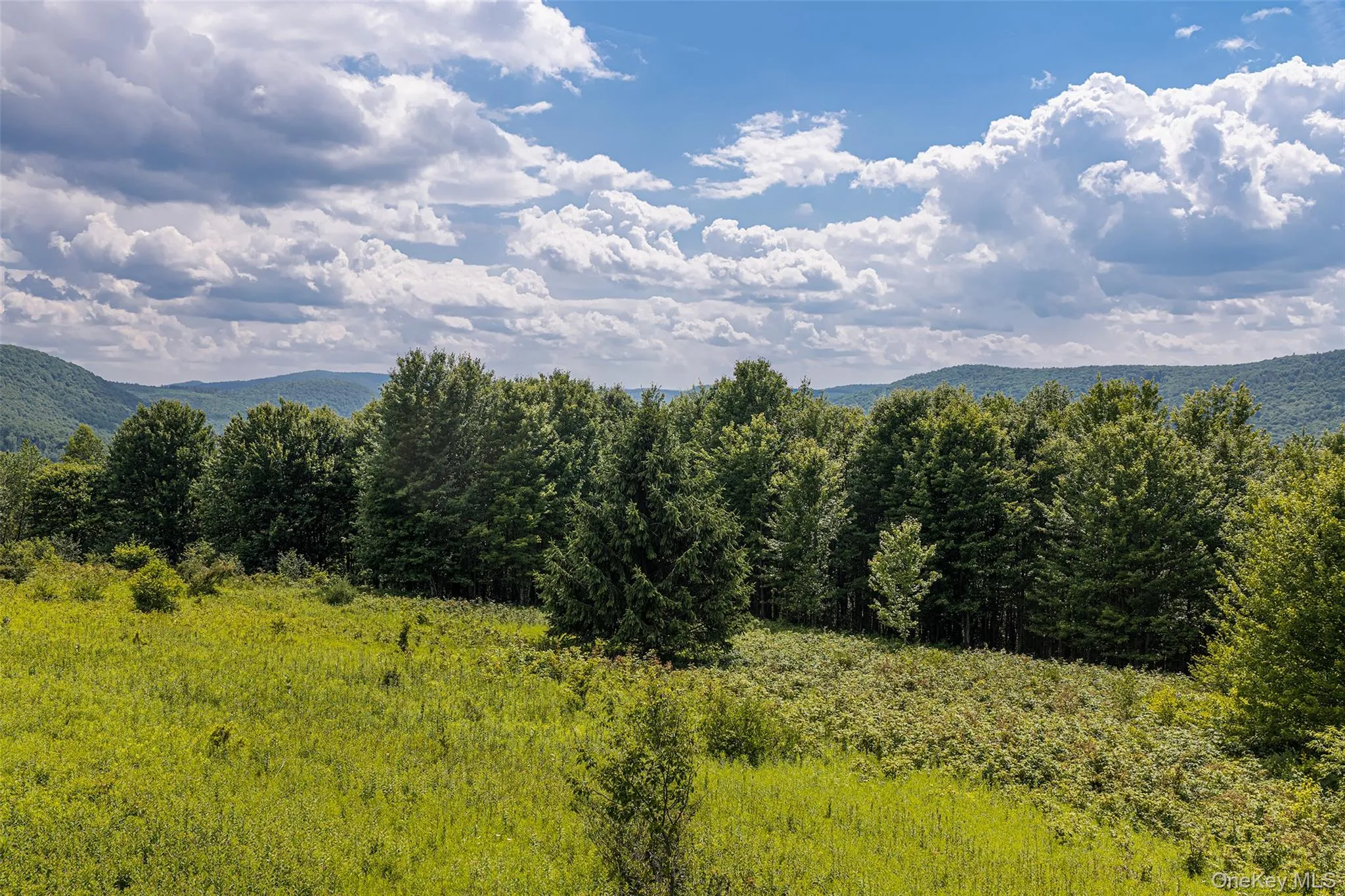 Lot 23 Lynch Road, Delhi, NY, ,Land,For Rent,Lynch,0,1032915 Lot 23 Lynch Road, Delhi, NY, ,Land,For Rent,Lynch,0,1032915
