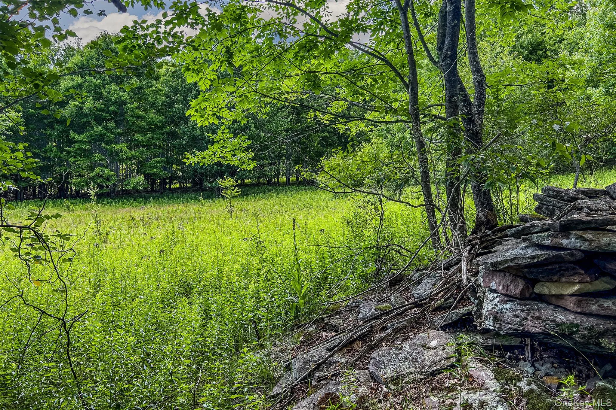 Lot 23 Lynch Road, Delhi, NY, ,Land,For Rent,Lynch,0,1032915 Lot 23 Lynch Road, Delhi, NY, ,Land,For Rent,Lynch,0,1032915