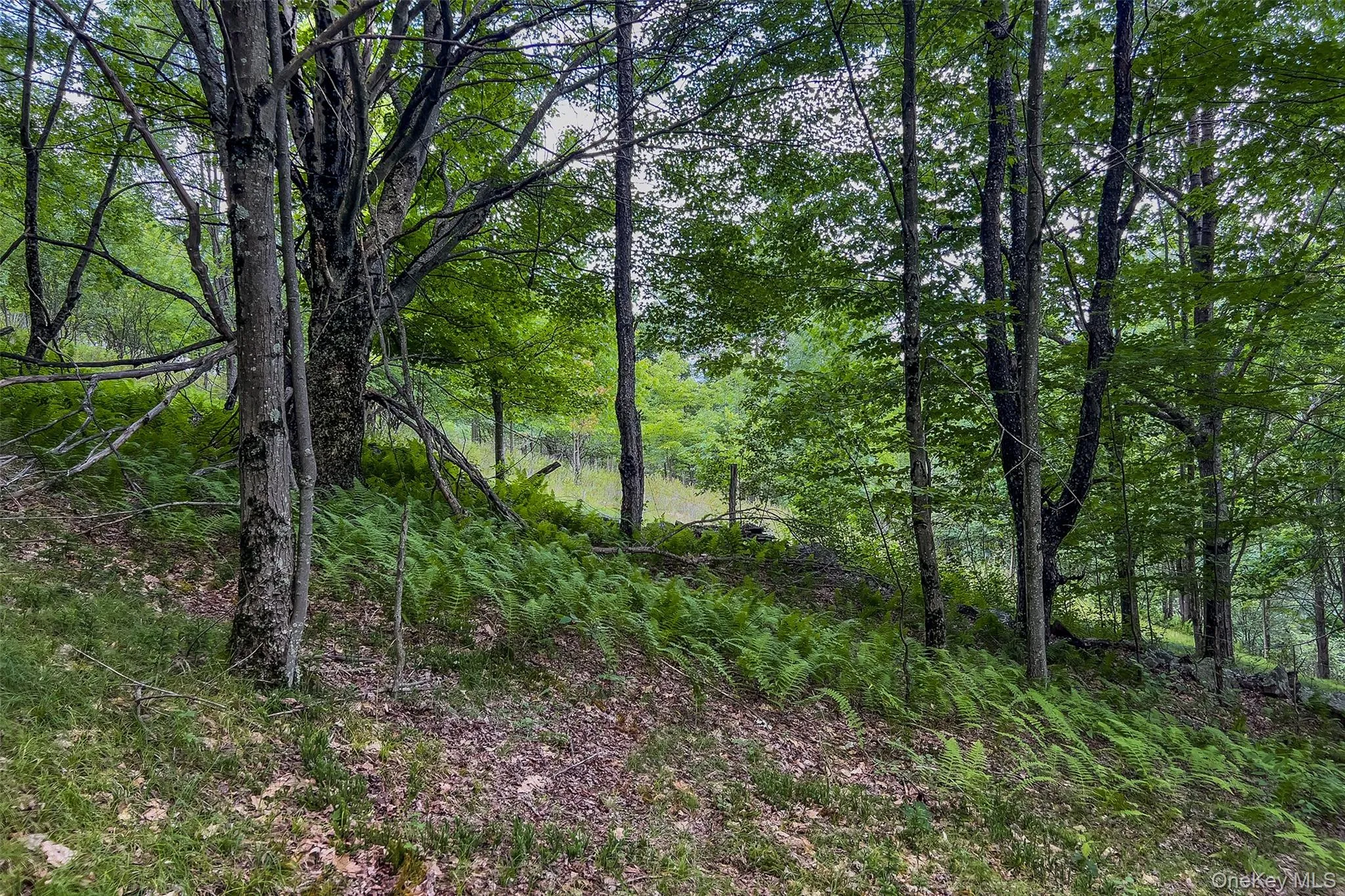 Lot 23 Lynch Road, Delhi, NY, ,Land,For Rent,Lynch,0,1032915 Lot 23 Lynch Road, Delhi, NY, ,Land,For Rent,Lynch,0,1032915