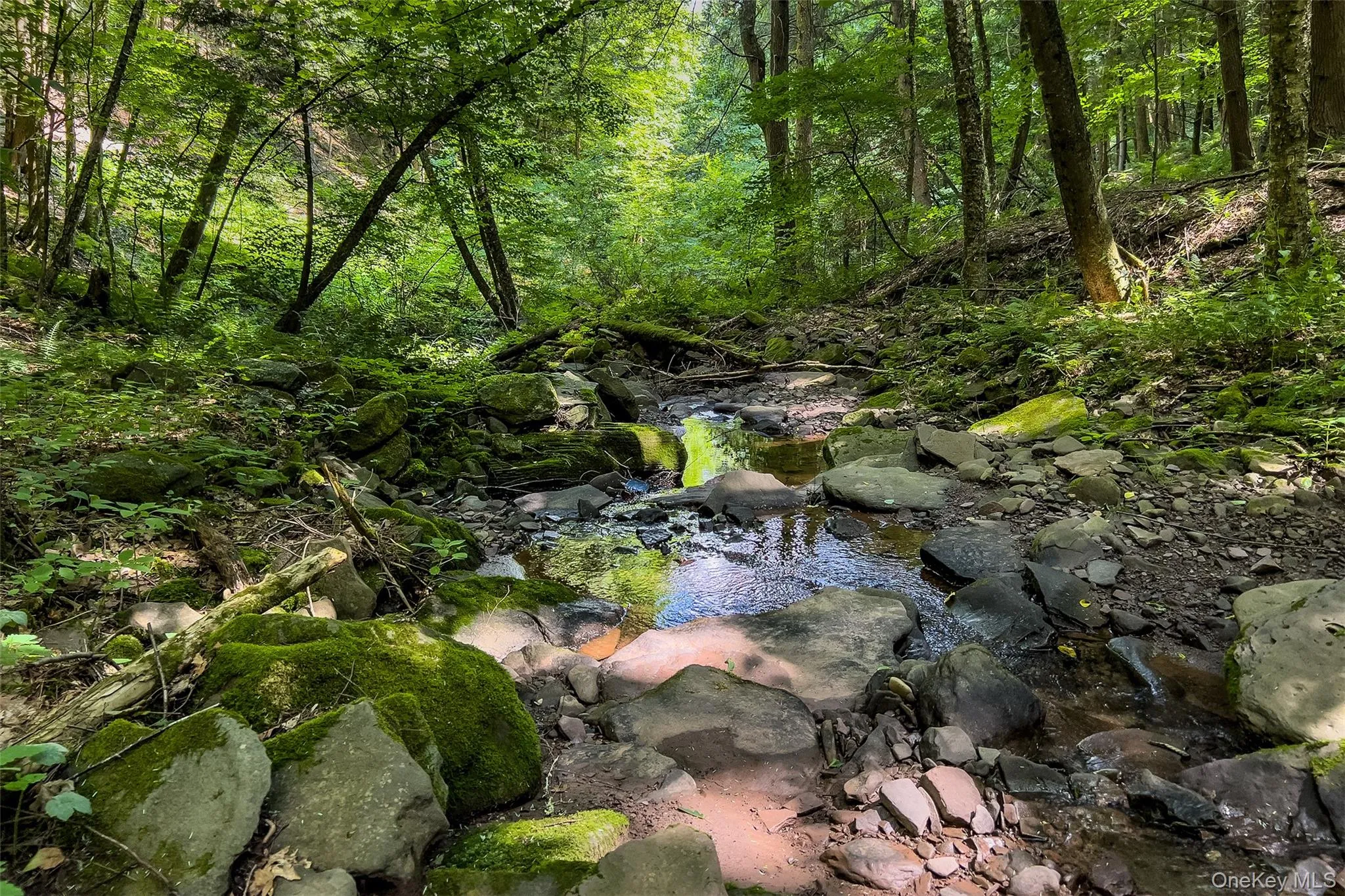 Lot 23 Lynch Road, Delhi, NY, ,Land,For Rent,Lynch,0,1032915 Lot 23 Lynch Road, Delhi, NY, ,Land,For Rent,Lynch,0,1032915