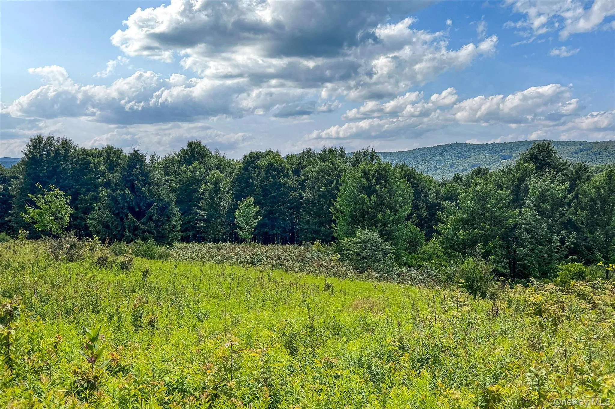 Lot 23 Lynch Road, Delhi, NY, ,Land,For Rent,Lynch,0,1032915 Lot 23 Lynch Road, Delhi, NY, ,Land,For Rent,Lynch,0,1032915