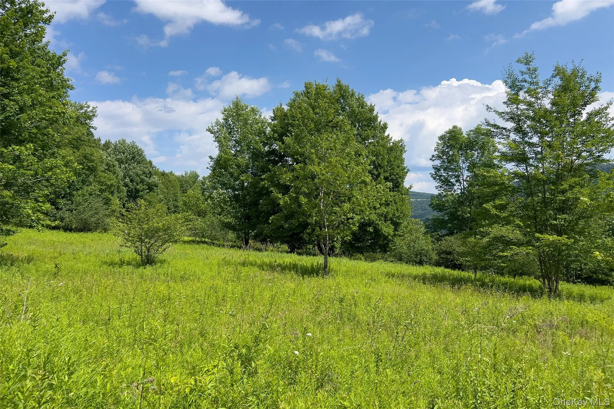 Lot 23 Lynch Road, Delhi, NY, ,Land,For Rent,Lynch,0,1032915 Lot 23 Lynch Road, Delhi, NY, ,Land,For Rent,Lynch,0,1032915