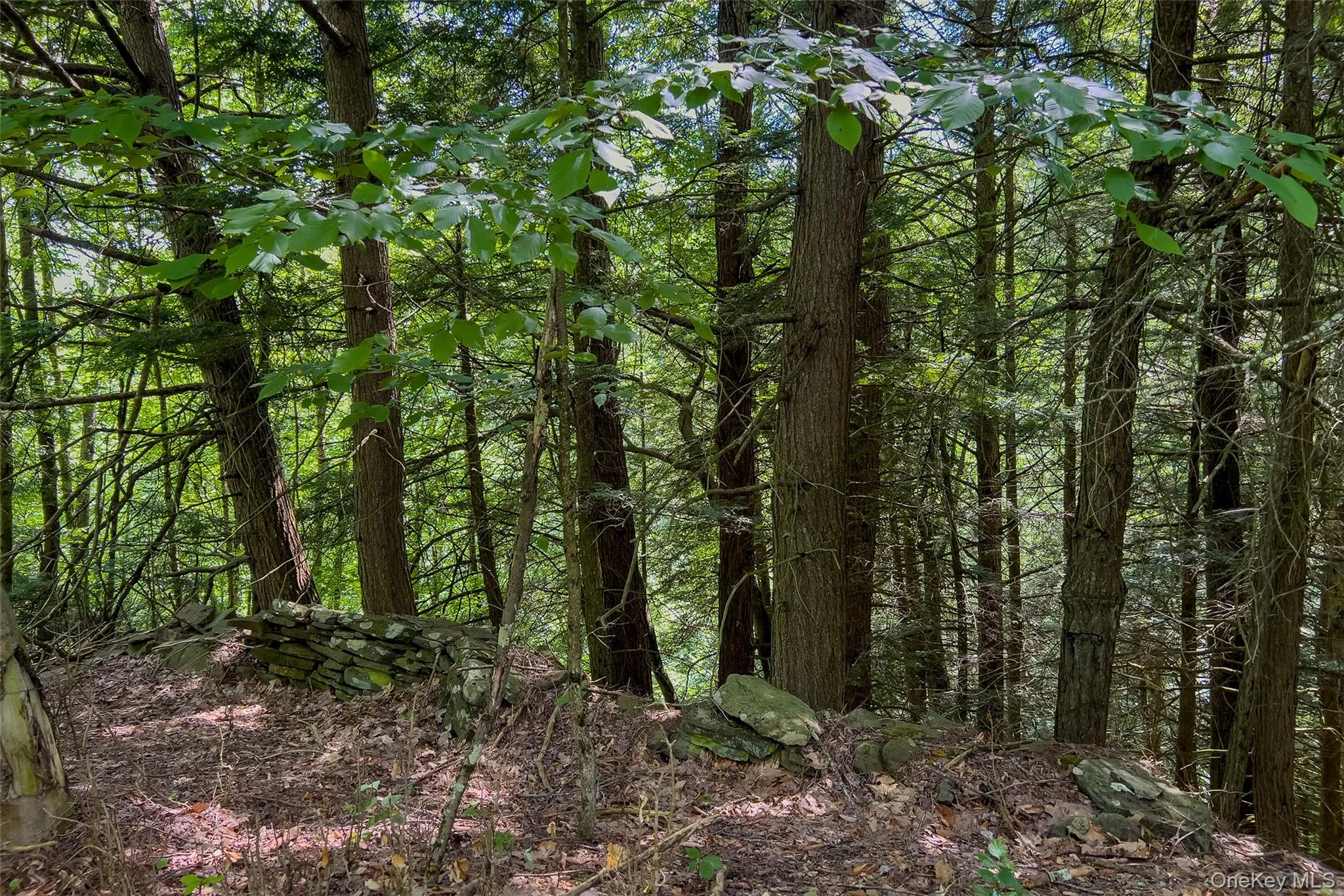 Lot 23 Lynch Road, Delhi, NY, ,Land,For Rent,Lynch,0,1032915 Lot 23 Lynch Road, Delhi, NY, ,Land,For Rent,Lynch,0,1032915