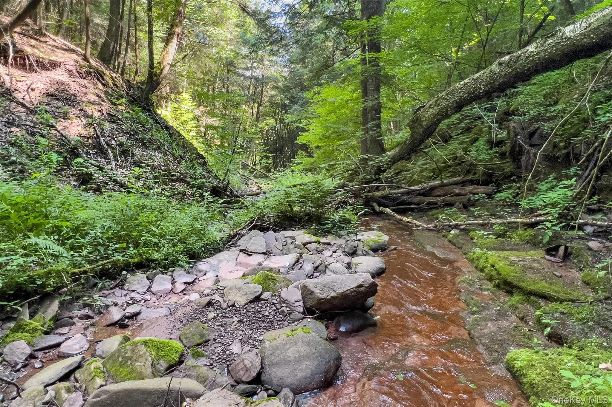 Lot 23 Lynch Road, Delhi, NY, ,Land,For Rent,Lynch,0,1032915 Lot 23 Lynch Road, Delhi, NY, ,Land,For Rent,Lynch,0,1032915