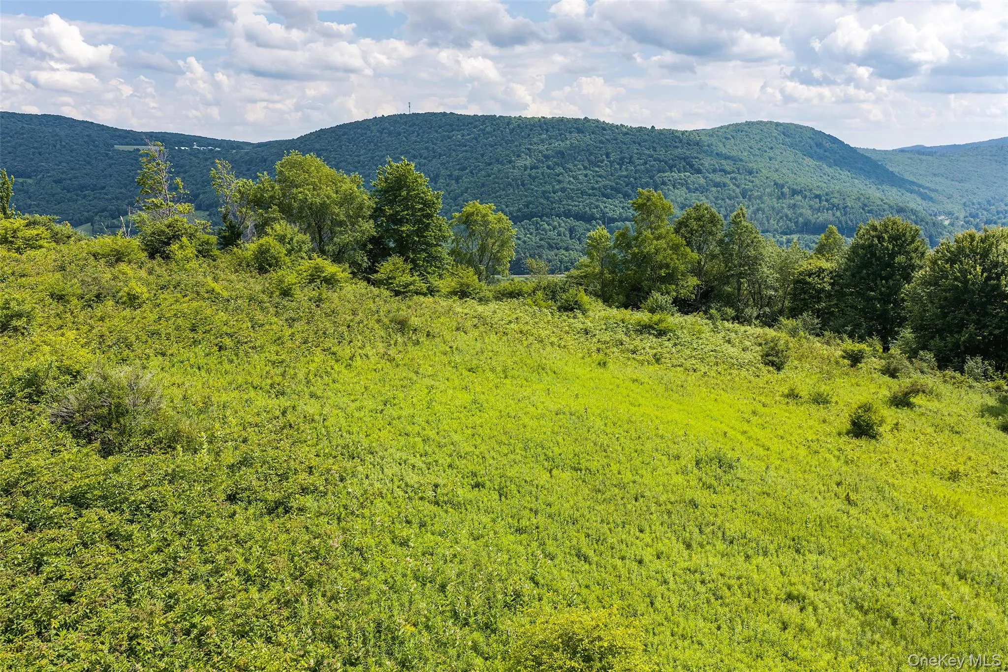 Lot 23 Lynch Road, Delhi, NY, ,Land,For Rent,Lynch,0,1032915 Lot 23 Lynch Road, Delhi, NY, ,Land,For Rent,Lynch,0,1032915