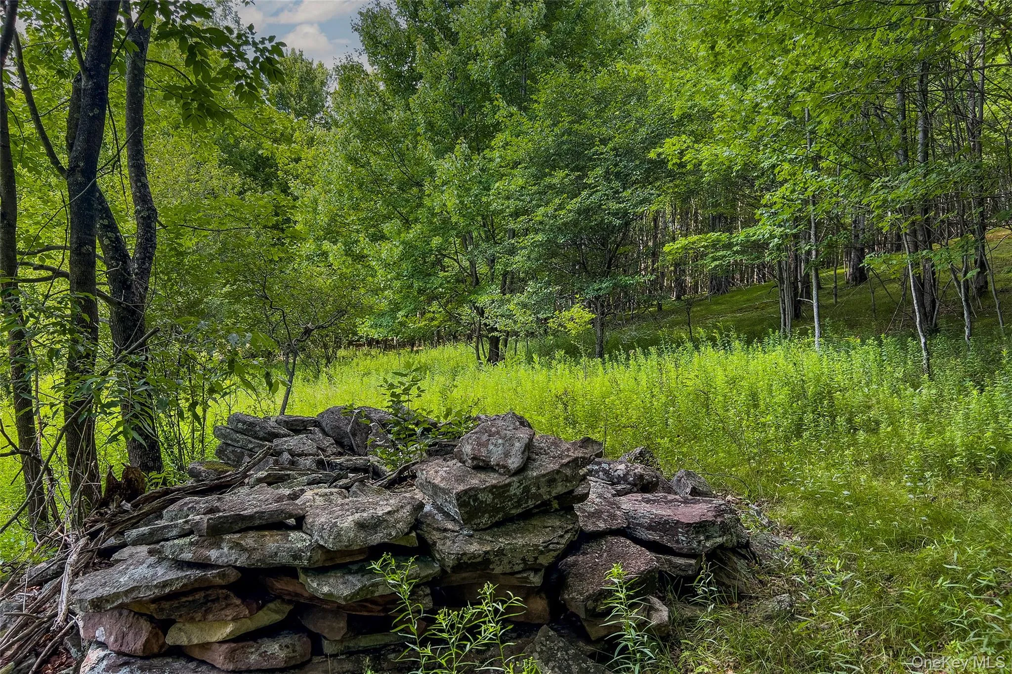 Lot 23 Lynch Road, Delhi, NY, ,Land,For Rent,Lynch,0,1032915 Lot 23 Lynch Road, Delhi, NY, ,Land,For Rent,Lynch,0,1032915
