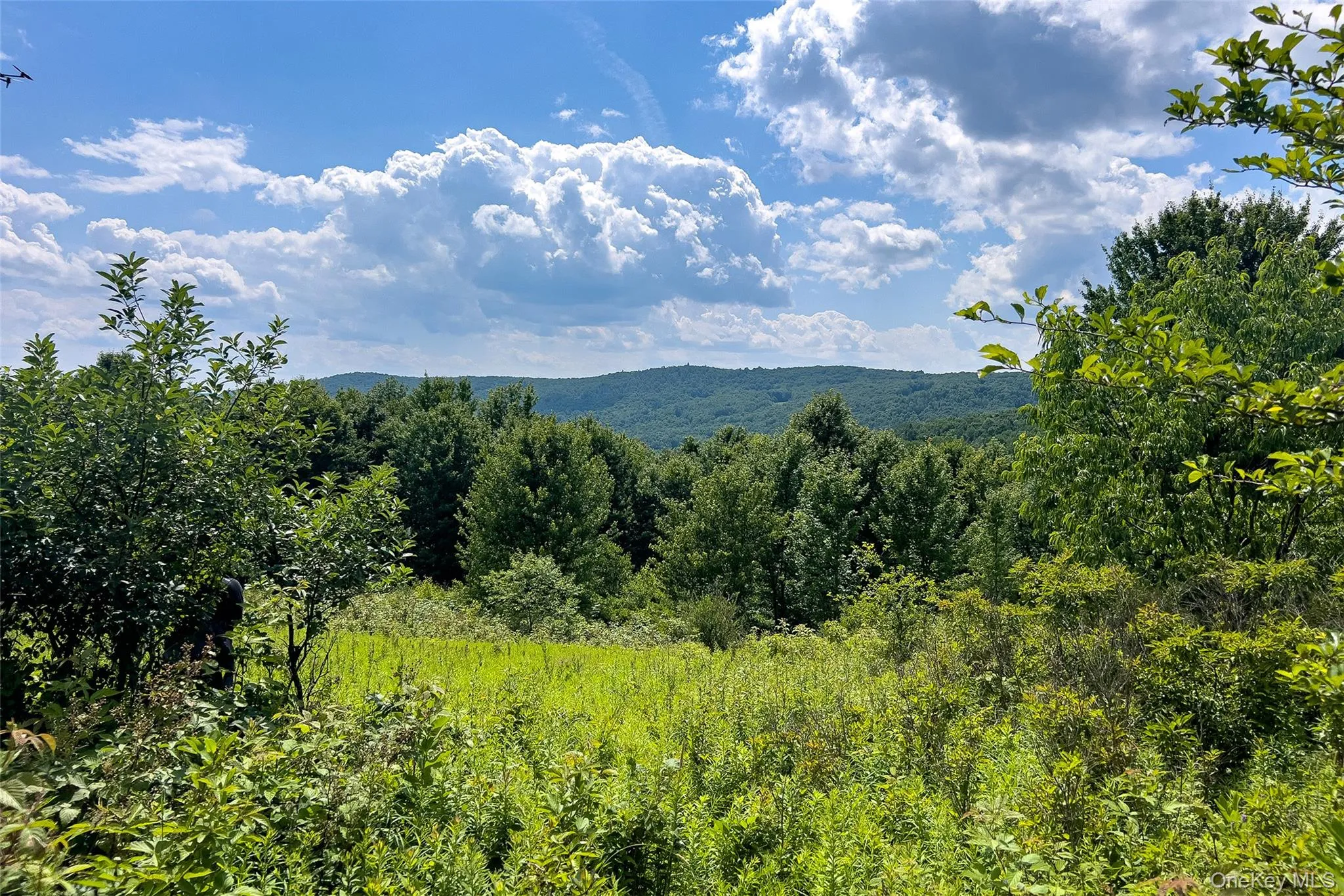 Lot 23 Lynch Road, Delhi, NY, ,Land,For Rent,Lynch,0,1032915 Lot 23 Lynch Road, Delhi, NY, ,Land,For Rent,Lynch,0,1032915