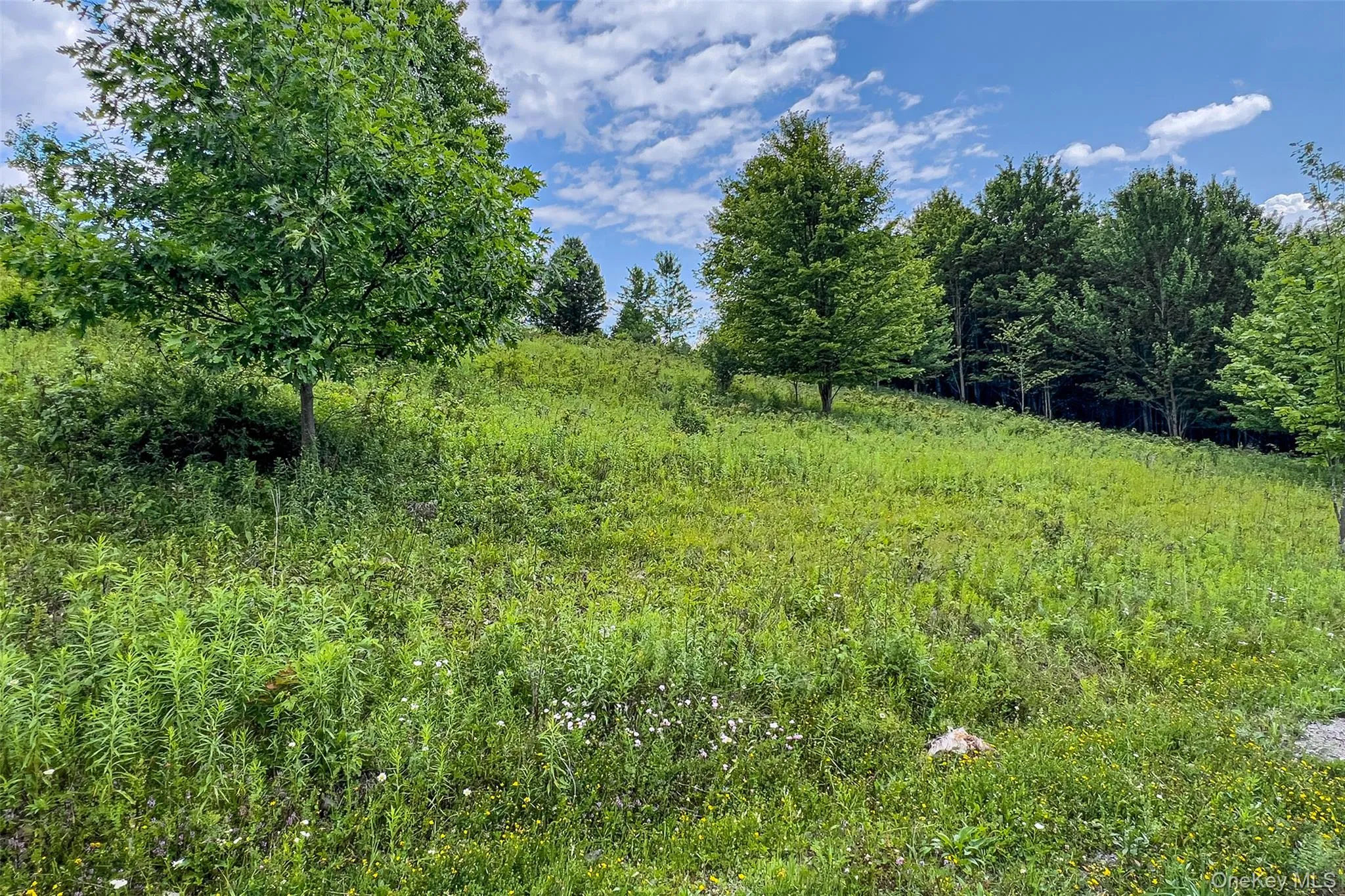 Lot 23 Lynch Road, Delhi, NY, ,Land,For Rent,Lynch,0,1032915 Lot 23 Lynch Road, Delhi, NY, ,Land,For Rent,Lynch,0,1032915