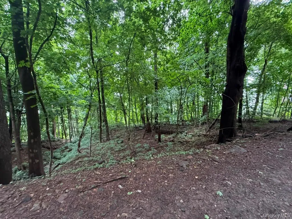 43 River Road, Clarkstown, NY, ,Land,For Rent,River,0,1032944 43 River Road, Clarkstown, NY, ,Land,For Rent,River,0,1032944