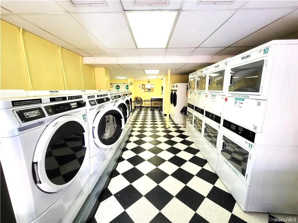 171 Pearsall Drive, Mount Vernon, NY, 2 Bedrooms Bedrooms, 5 Rooms Rooms,2 BathroomsBathrooms,Residential,For Rent,Pearsall,0,1032961 171 Pearsall Drive, Mount Vernon, NY, 2 Bedrooms Bedrooms, 5 Rooms Rooms,2 BathroomsBathrooms,Residential,For Rent,Pearsall,0,1032961