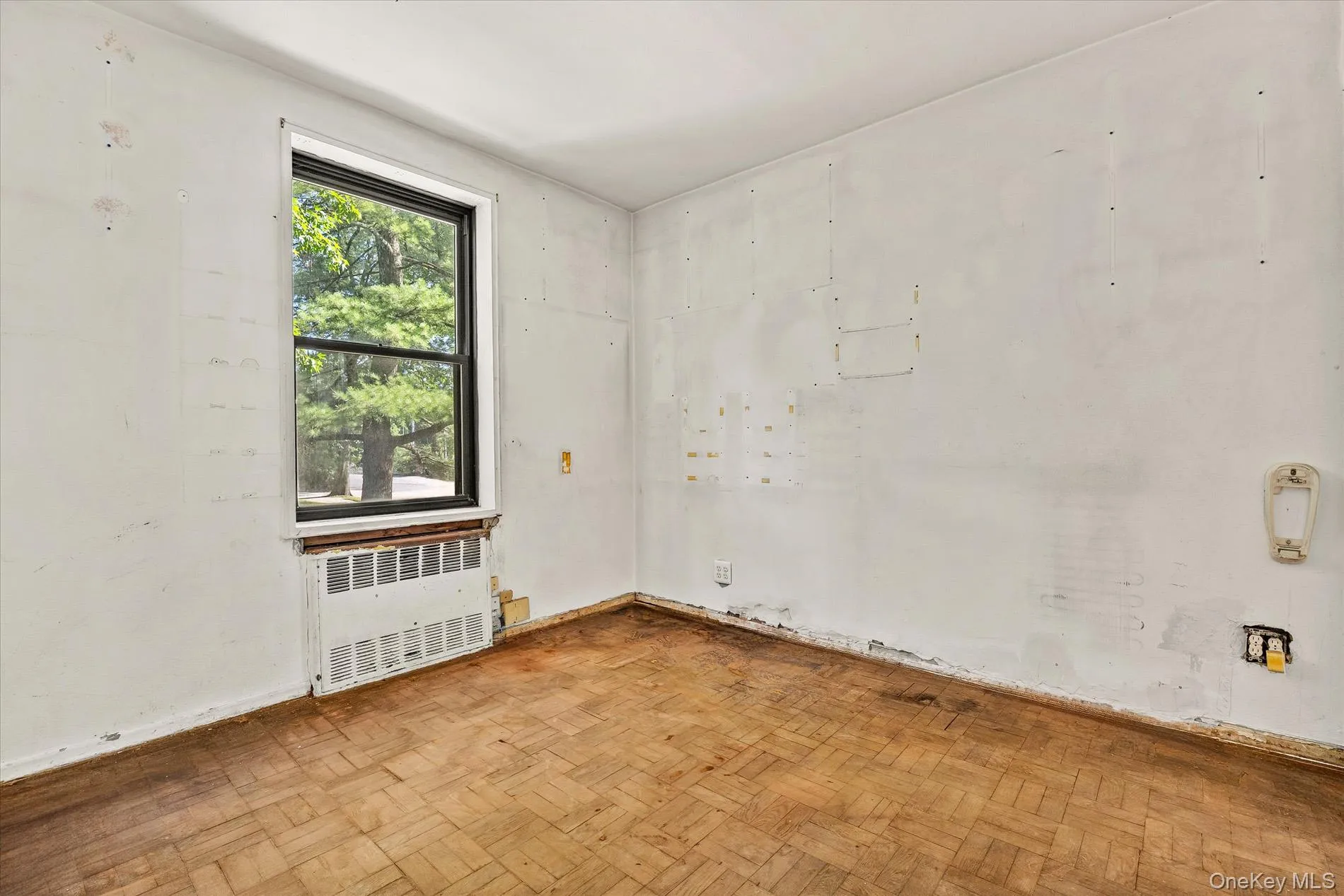 80-35 Springfield Blvd, New York, NY, 2 Bedrooms Bedrooms, 3 Rooms Rooms,2 BathroomsBathrooms,Residential,For Rent,Springfield Blvd,0,1032987 80-35 Springfield Blvd, New York, NY, 2 Bedrooms Bedrooms, 3 Rooms Rooms,2 BathroomsBathrooms,Residential,For Rent,Springfield Blvd,0,1032987
