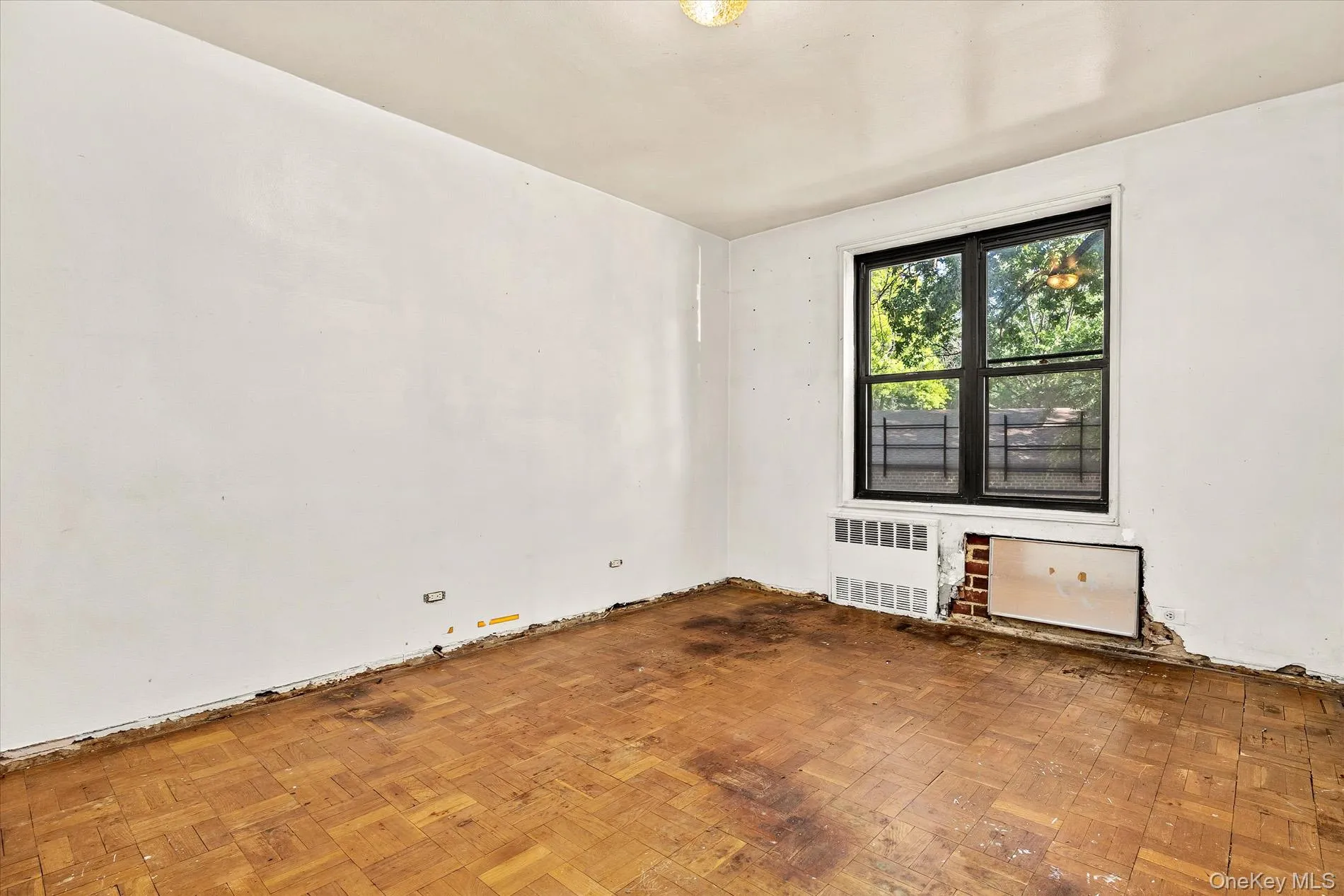 80-35 Springfield Blvd, New York, NY, 2 Bedrooms Bedrooms, 3 Rooms Rooms,2 BathroomsBathrooms,Residential,For Rent,Springfield Blvd,0,1032987 80-35 Springfield Blvd, New York, NY, 2 Bedrooms Bedrooms, 3 Rooms Rooms,2 BathroomsBathrooms,Residential,For Rent,Springfield Blvd,0,1032987