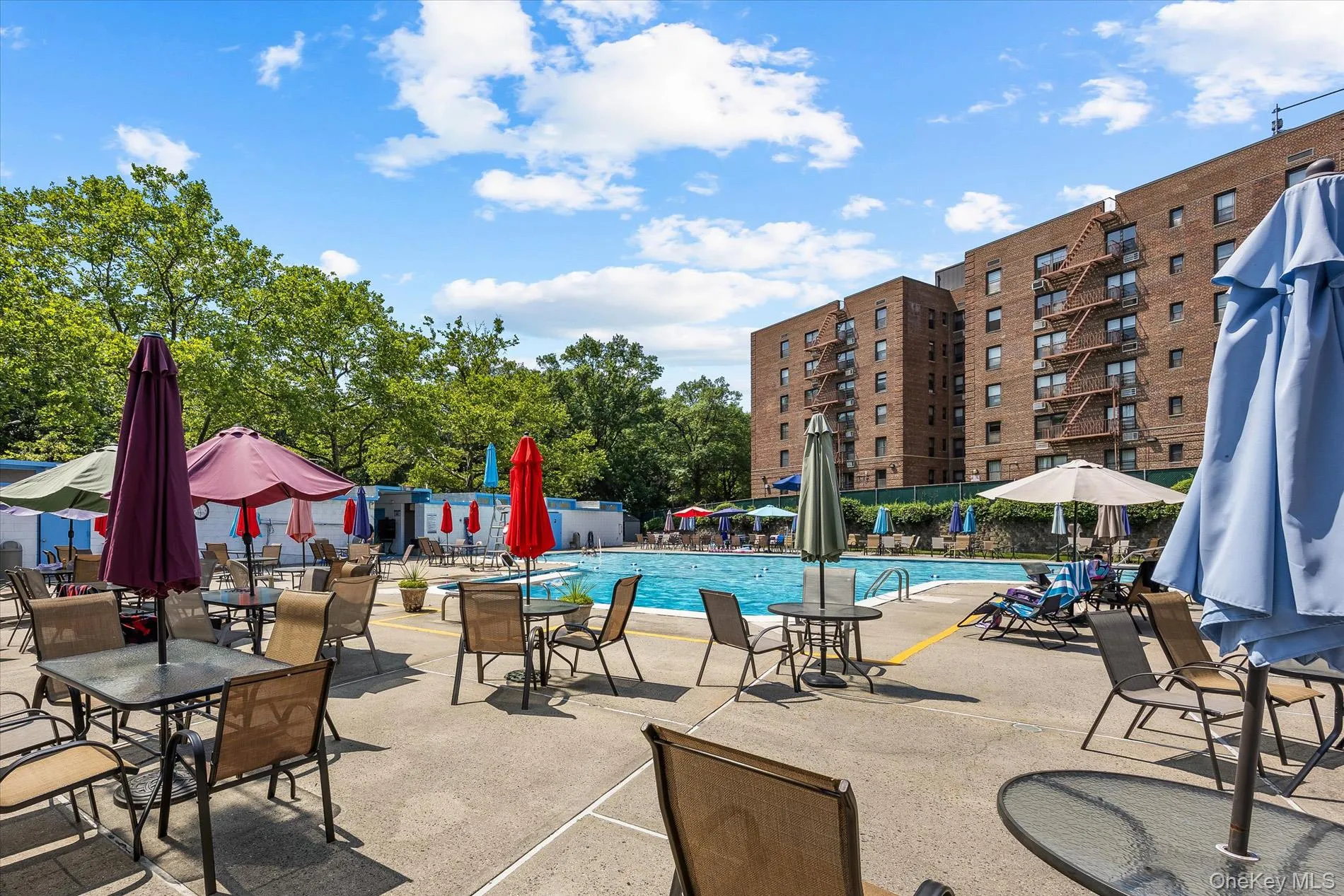 80-35 Springfield Blvd, New York, NY, 2 Bedrooms Bedrooms, 3 Rooms Rooms,2 BathroomsBathrooms,Residential,For Rent,Springfield Blvd,0,1032987 80-35 Springfield Blvd, New York, NY, 2 Bedrooms Bedrooms, 3 Rooms Rooms,2 BathroomsBathrooms,Residential,For Rent,Springfield Blvd,0,1032987