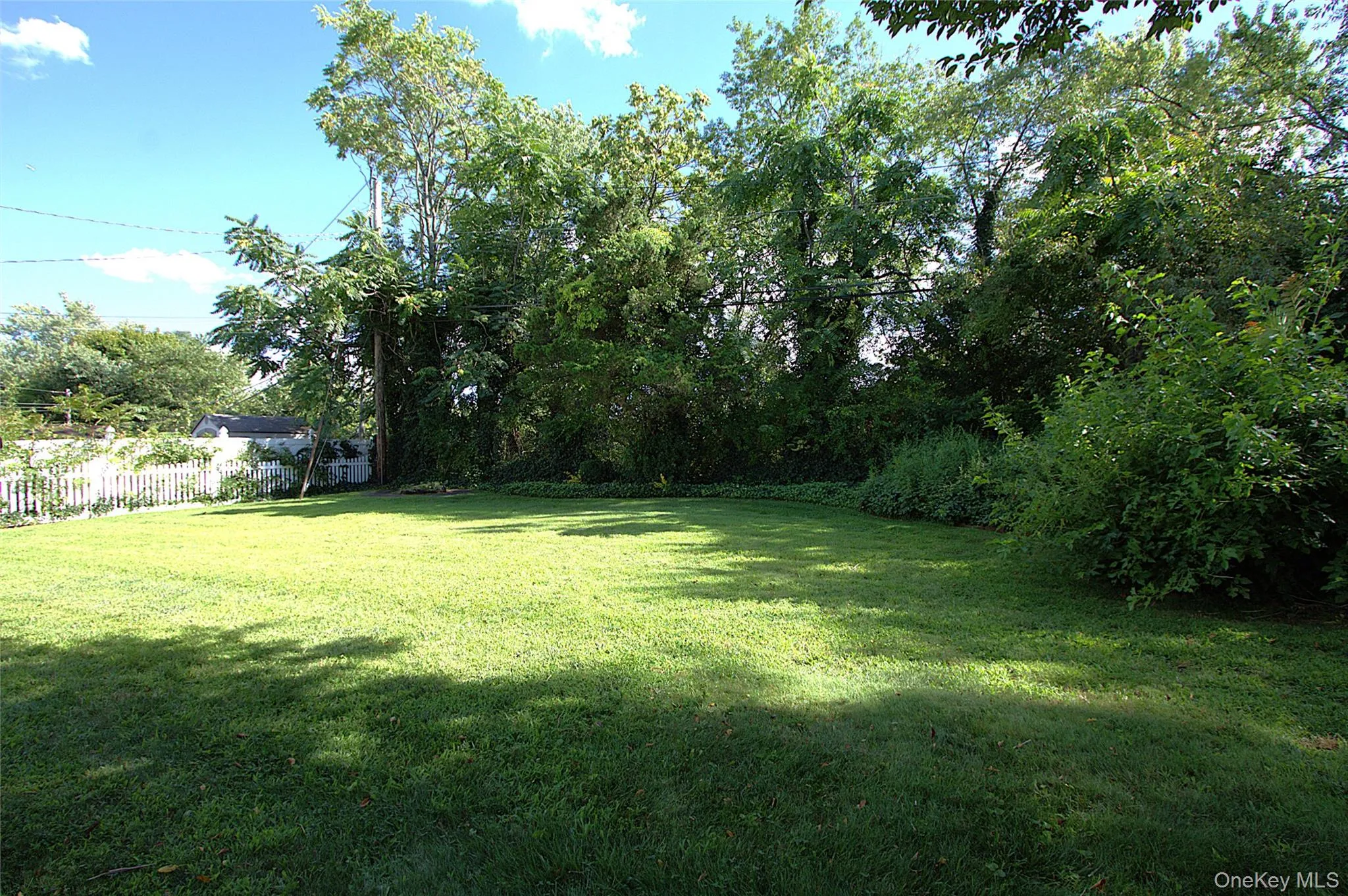Expansive grassy yard with mature perimeter trees and a white picket fence Expansive grassy yard with mature perimeter trees and a white picket fence