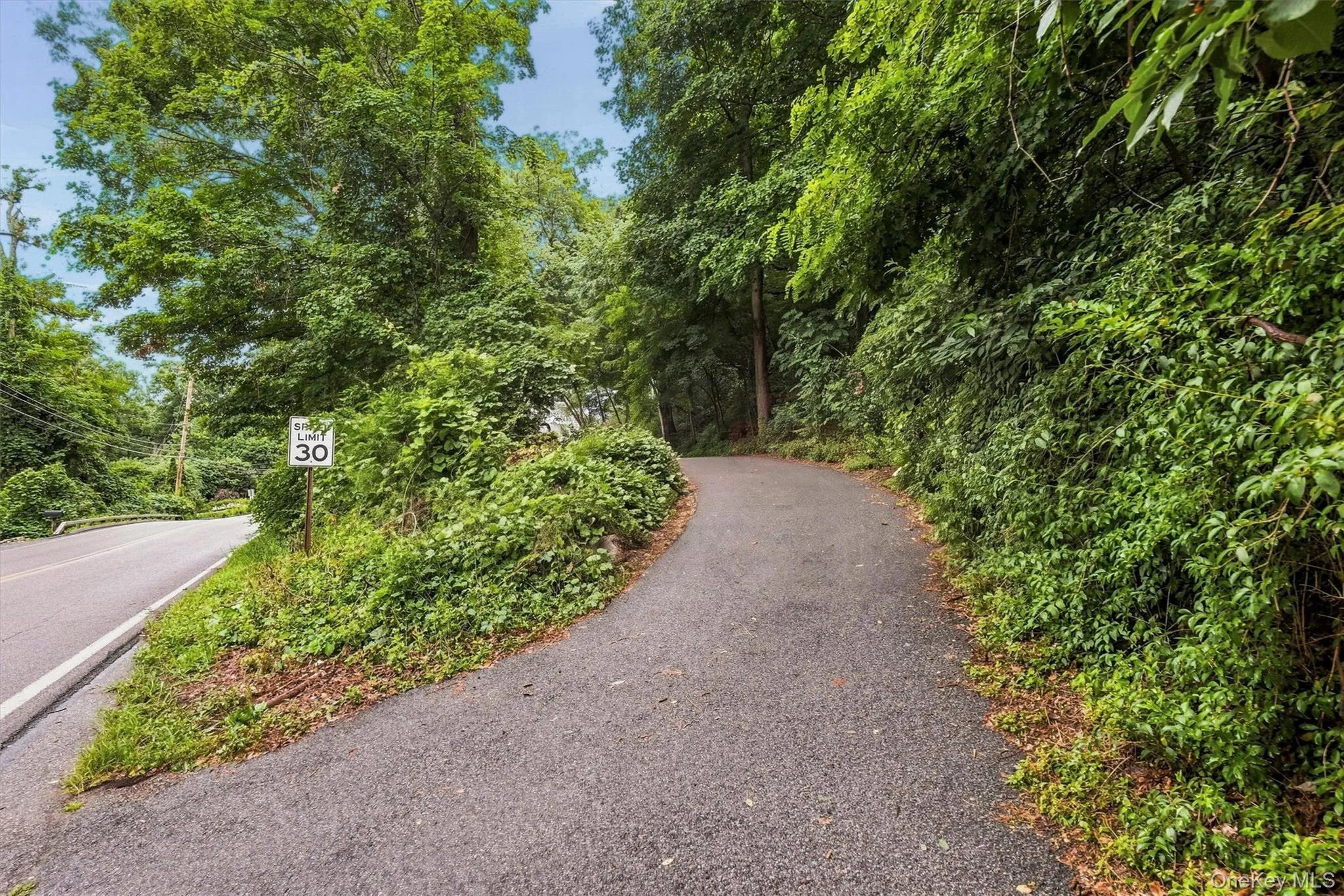 Driveway Driveway