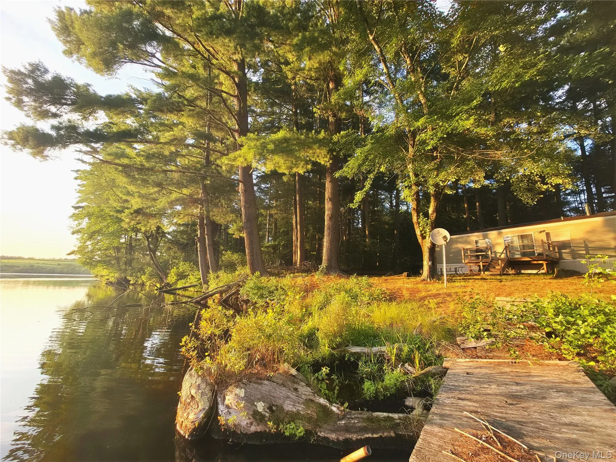 25 George Segar Road, Bethel, NY, 2 Bedrooms Bedrooms, 4 Rooms Rooms,1 BathroomBathrooms,Residential,For Rent,George Segar,0,1033069 25 George Segar Road, Bethel, NY, 2 Bedrooms Bedrooms, 4 Rooms Rooms,1 BathroomBathrooms,Residential,For Rent,George Segar,0,1033069