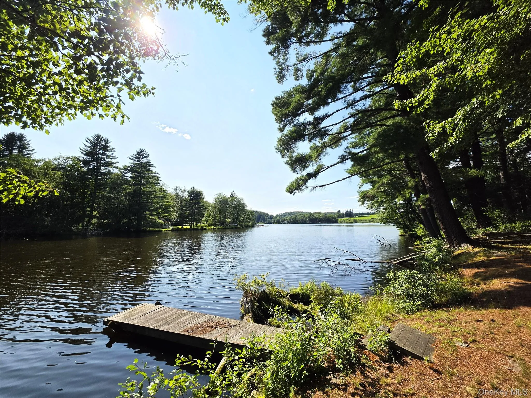 25 George Segar Road, Bethel, NY, 2 Bedrooms Bedrooms, 4 Rooms Rooms,1 BathroomBathrooms,Residential,For Rent,George Segar,0,1033069 25 George Segar Road, Bethel, NY, 2 Bedrooms Bedrooms, 4 Rooms Rooms,1 BathroomBathrooms,Residential,For Rent,George Segar,0,1033069