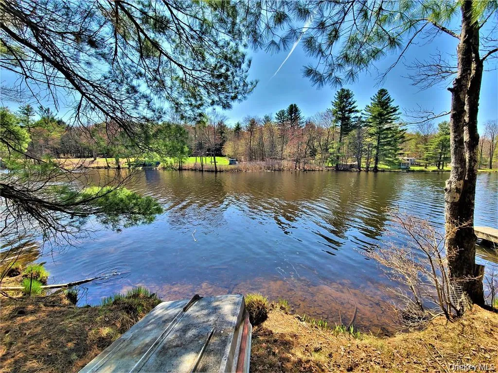 Water view with a heavily wooded area Water view with a heavily wooded area