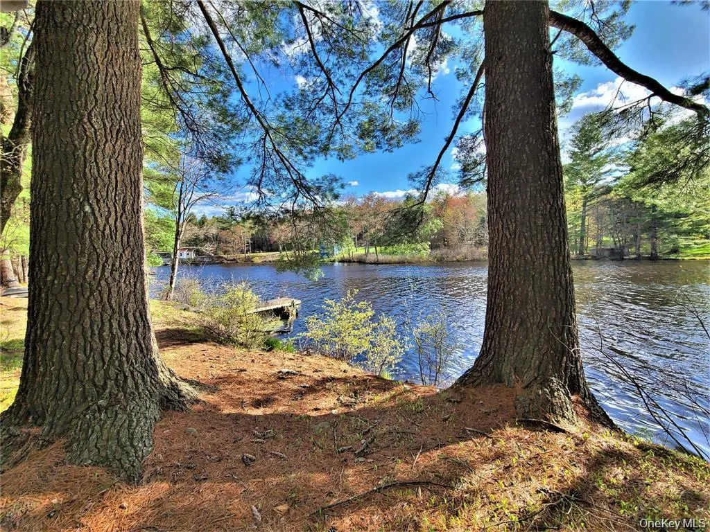 Water view with heavily wooded area Water view with heavily wooded area