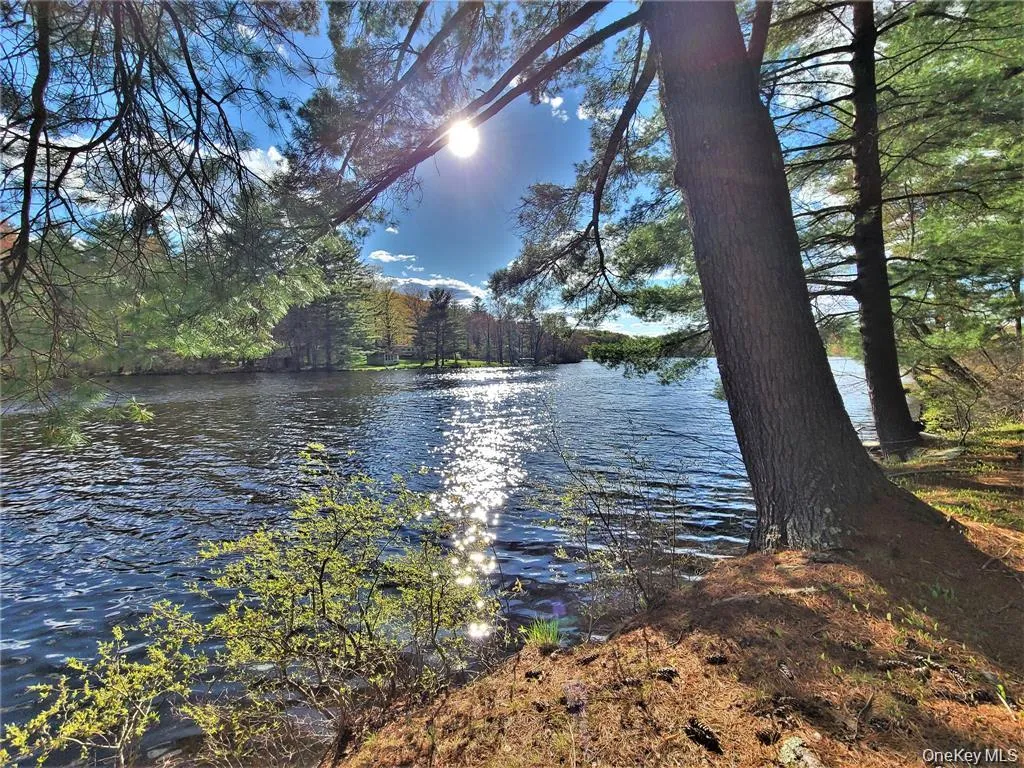 Water view featuring a heavily wooded area Water view featuring a heavily wooded area