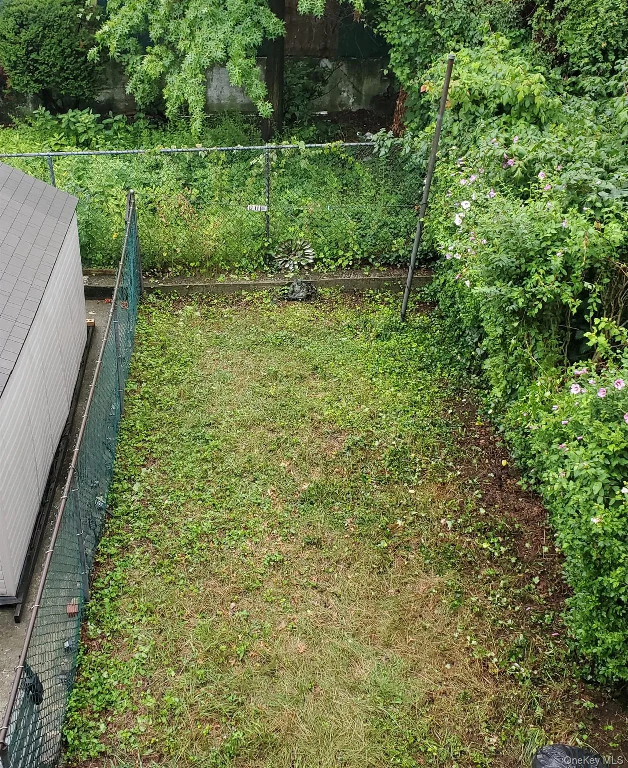 Fenced backyard area Fenced backyard area