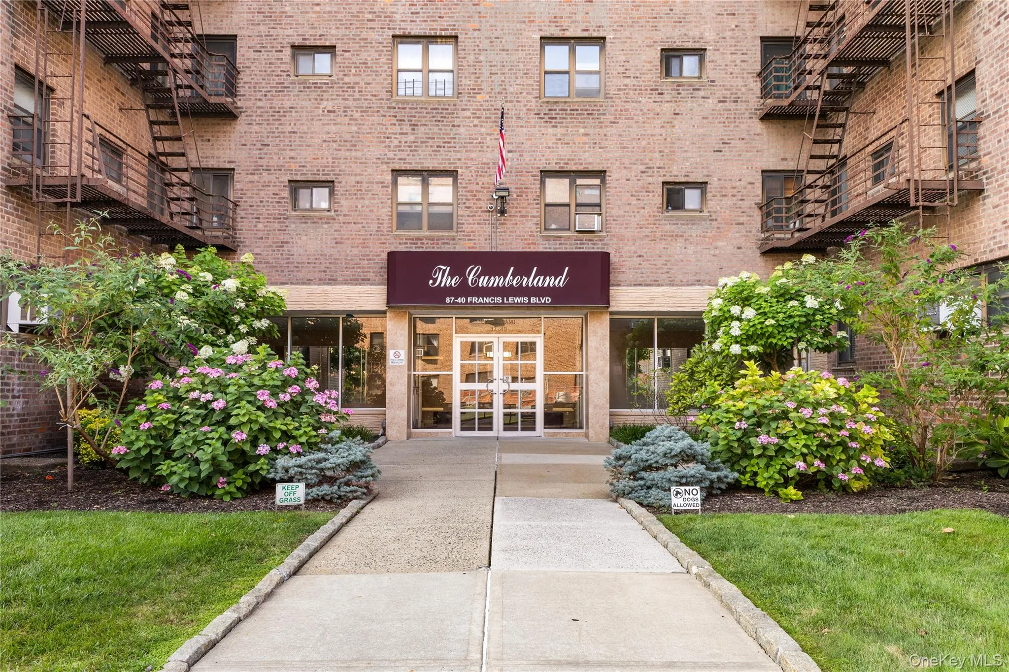 87-40 Francis Lewis Boulevard, New York, NY, 1 Bedroom Bedrooms, 5 Rooms Rooms,1 BathroomBathrooms,Residential,For Rent,Francis Lewis,0,1033082 87-40 Francis Lewis Boulevard, New York, NY, 1 Bedroom Bedrooms, 5 Rooms Rooms,1 BathroomBathrooms,Residential,For Rent,Francis Lewis,0,1033082