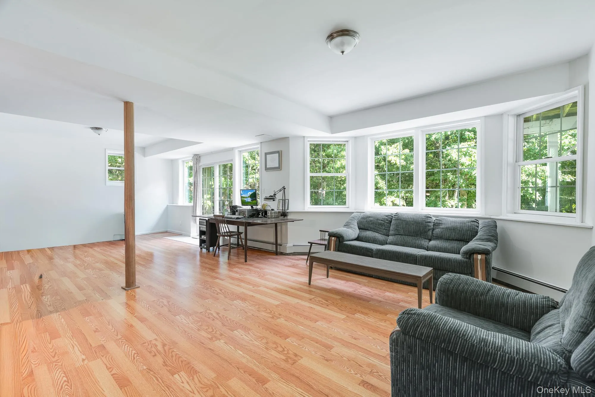 Expansive family room in basement with full wall of windows Expansive family room in basement with full wall of windows