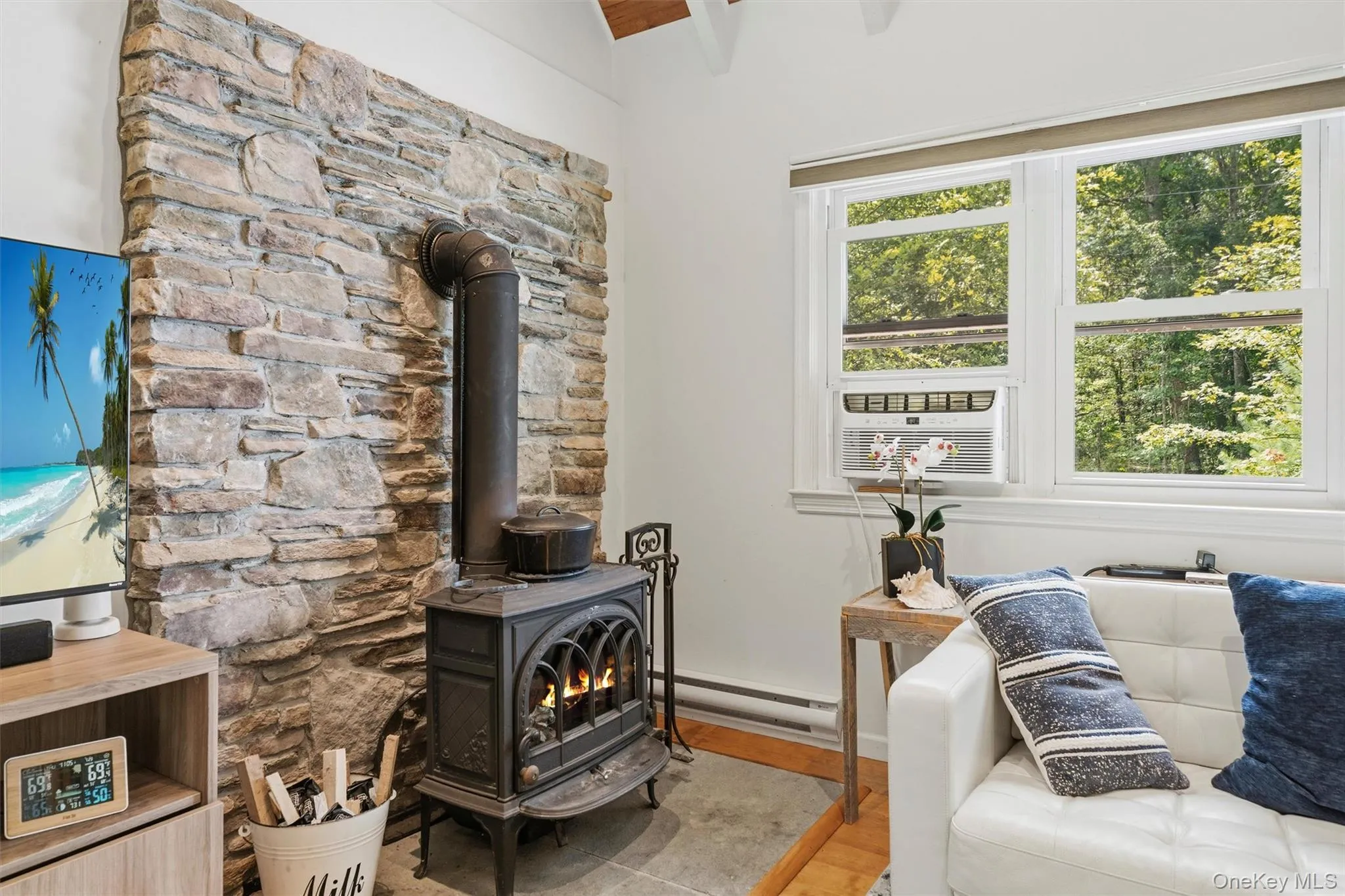 wood stove wood stove