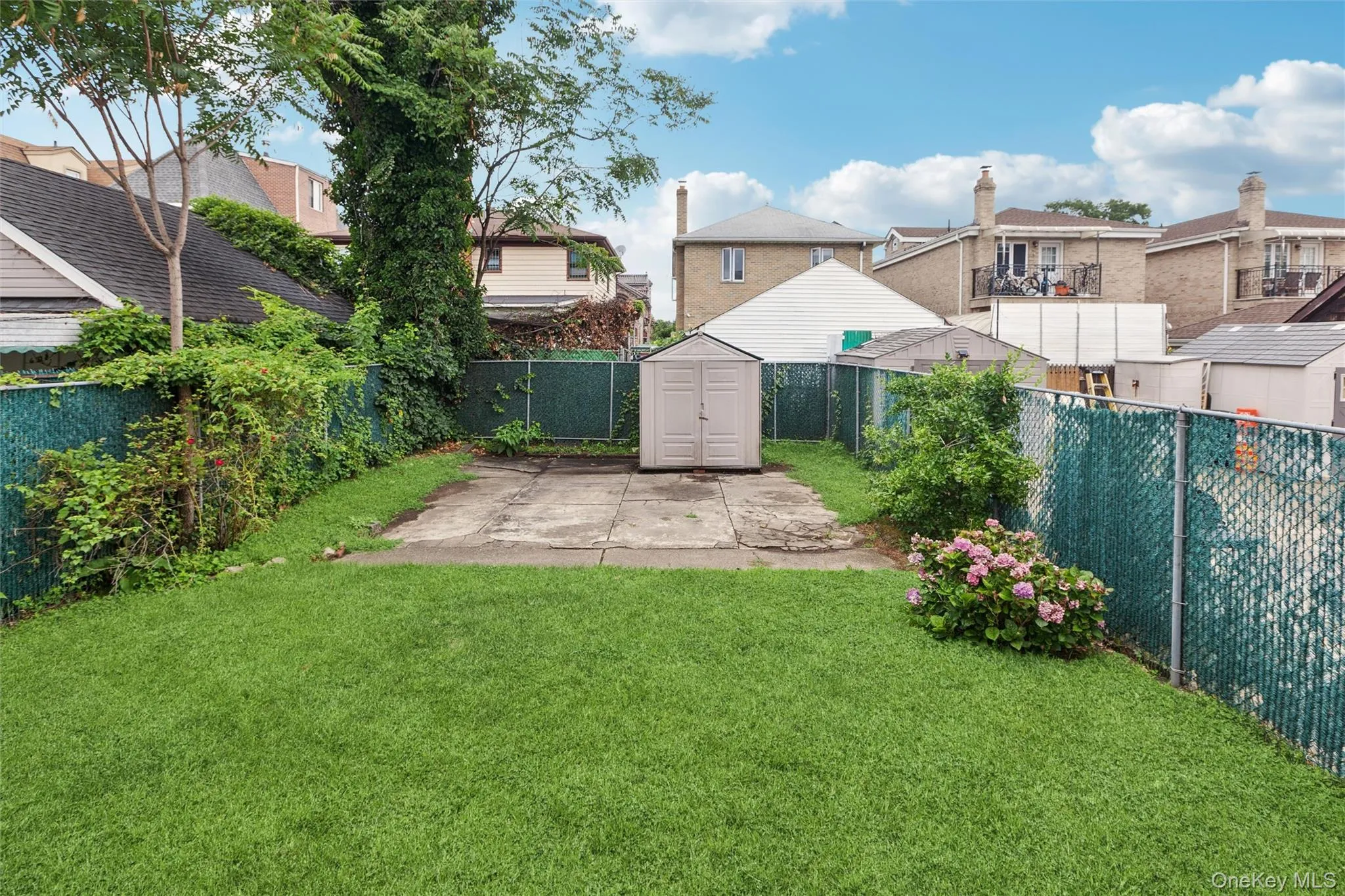 Backyard Backyard