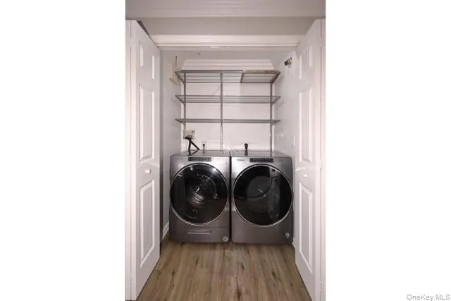 1804 Dolphin Lane, Islip, NY, 2 Bedrooms Bedrooms, 6 Rooms Rooms,2 BathroomsBathrooms,Residential Lease,For Rent,Dolphin,0,1033145 1804 Dolphin Lane, Islip, NY, 2 Bedrooms Bedrooms, 6 Rooms Rooms,2 BathroomsBathrooms,Residential Lease,For Rent,Dolphin,0,1033145