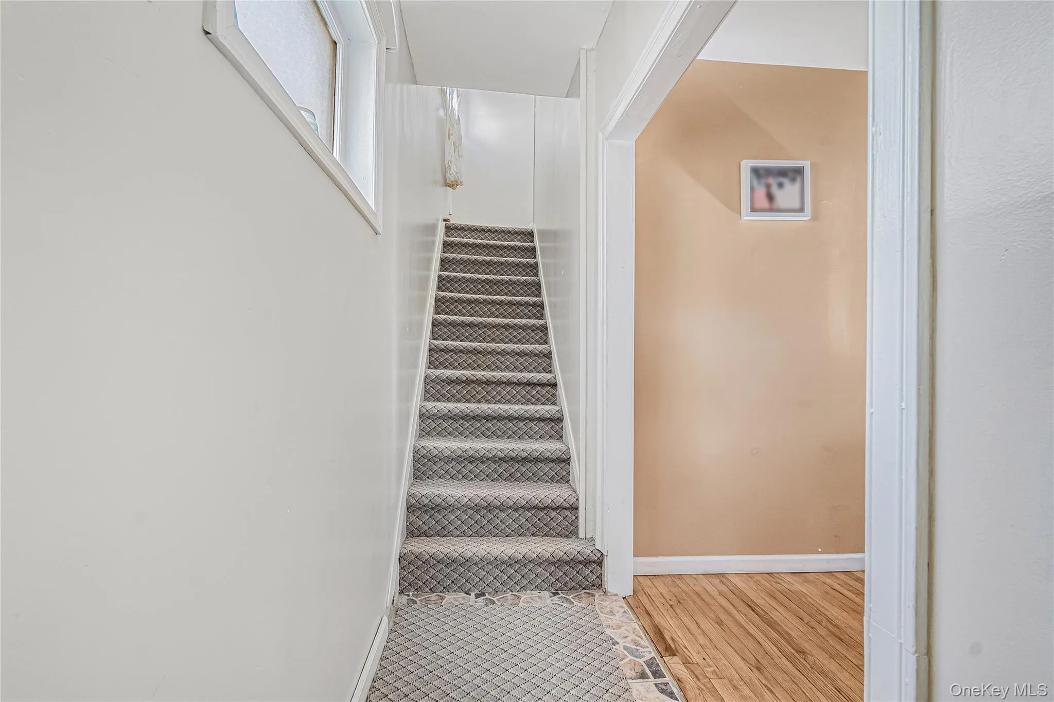 11545 172nd Street, New York, NY, 3 Bedrooms Bedrooms, 8 Rooms Rooms,3 BathroomsBathrooms,Residential,For Rent,172nd,0,1033181 11545 172nd Street, New York, NY, 3 Bedrooms Bedrooms, 8 Rooms Rooms,3 BathroomsBathrooms,Residential,For Rent,172nd,0,1033181