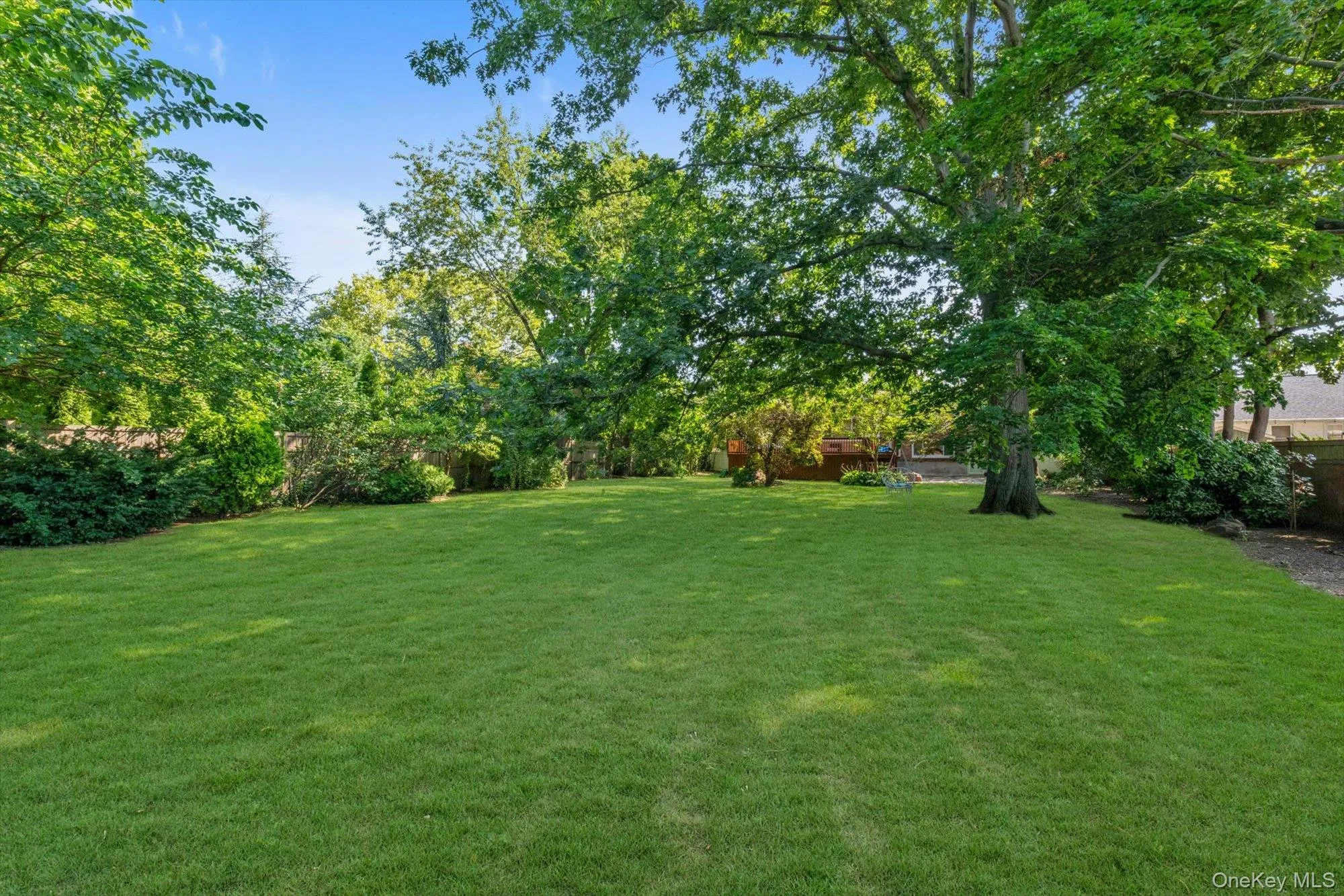 Expansive amazing fenced in yard Expansive amazing fenced in yard