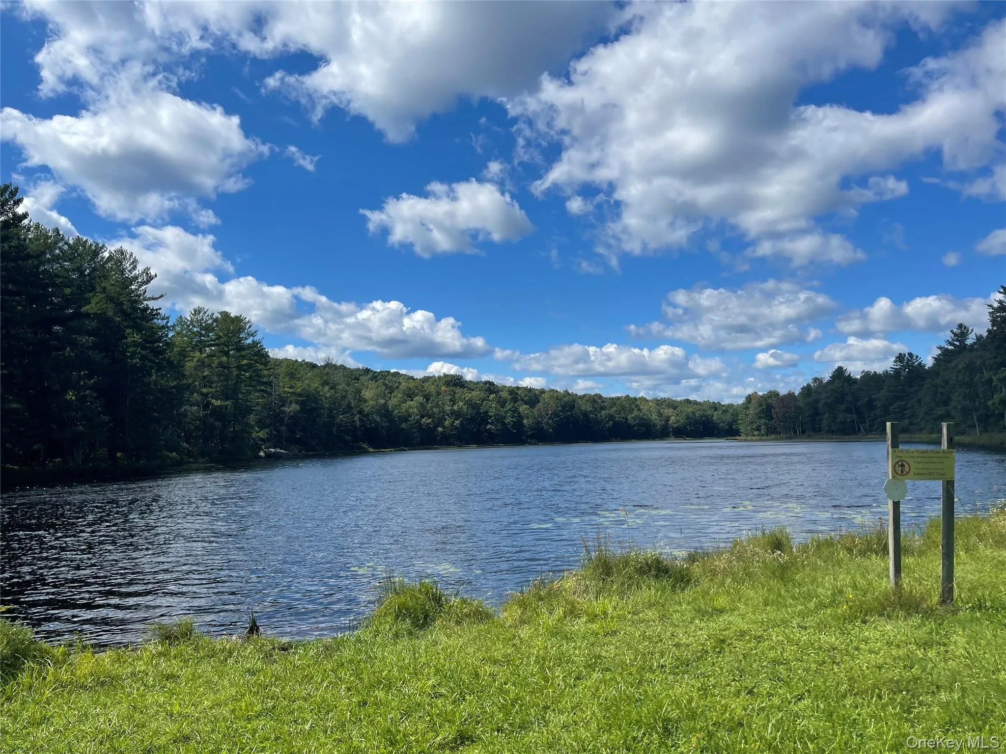 14 Willow Lane, Thompson, NY, 3 Bedrooms Bedrooms, 6 Rooms Rooms,2 BathroomsBathrooms,Residential,For Rent,Willow,0,1033270 14 Willow Lane, Thompson, NY, 3 Bedrooms Bedrooms, 6 Rooms Rooms,2 BathroomsBathrooms,Residential,For Rent,Willow,0,1033270