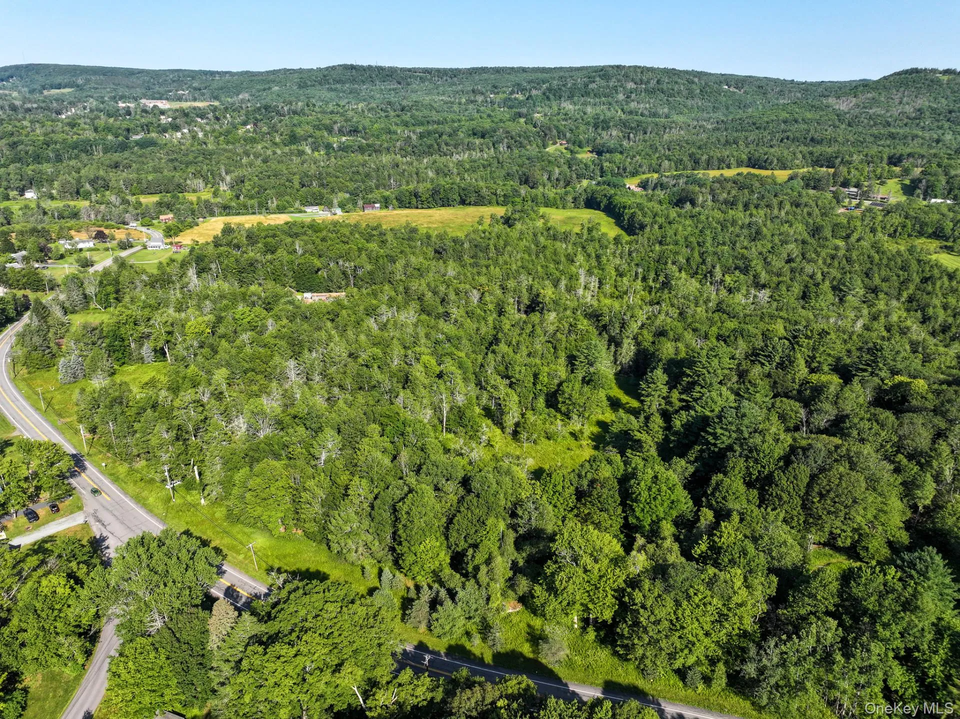 LOT 3 Neversink Road, Liberty, NY, ,Land,For Rent,Neversink,0,1033274 LOT 3 Neversink Road, Liberty, NY, ,Land,For Rent,Neversink,0,1033274