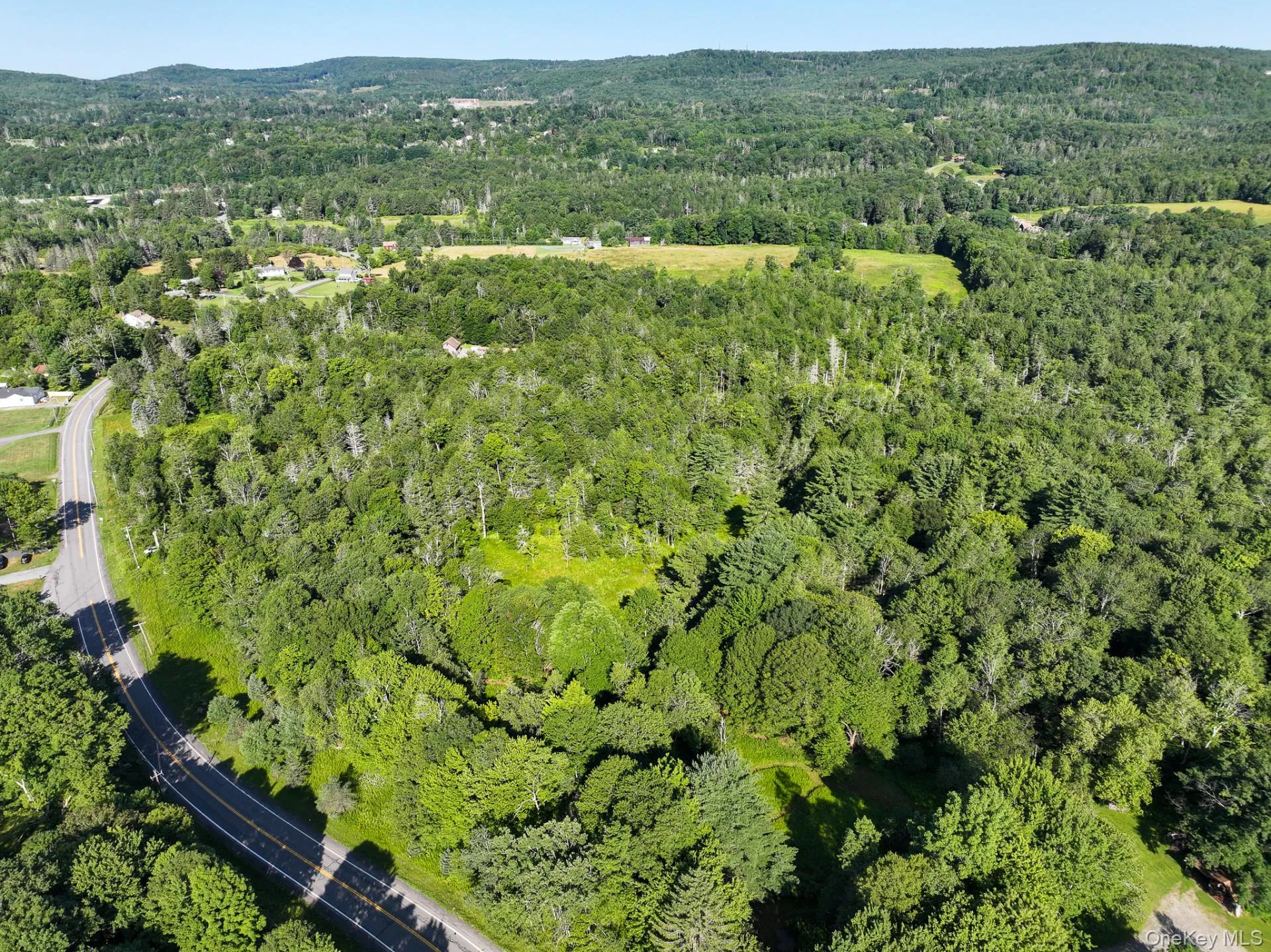 LOT 3 Neversink Road, Liberty, NY, ,Land,For Rent,Neversink,0,1033274 LOT 3 Neversink Road, Liberty, NY, ,Land,For Rent,Neversink,0,1033274