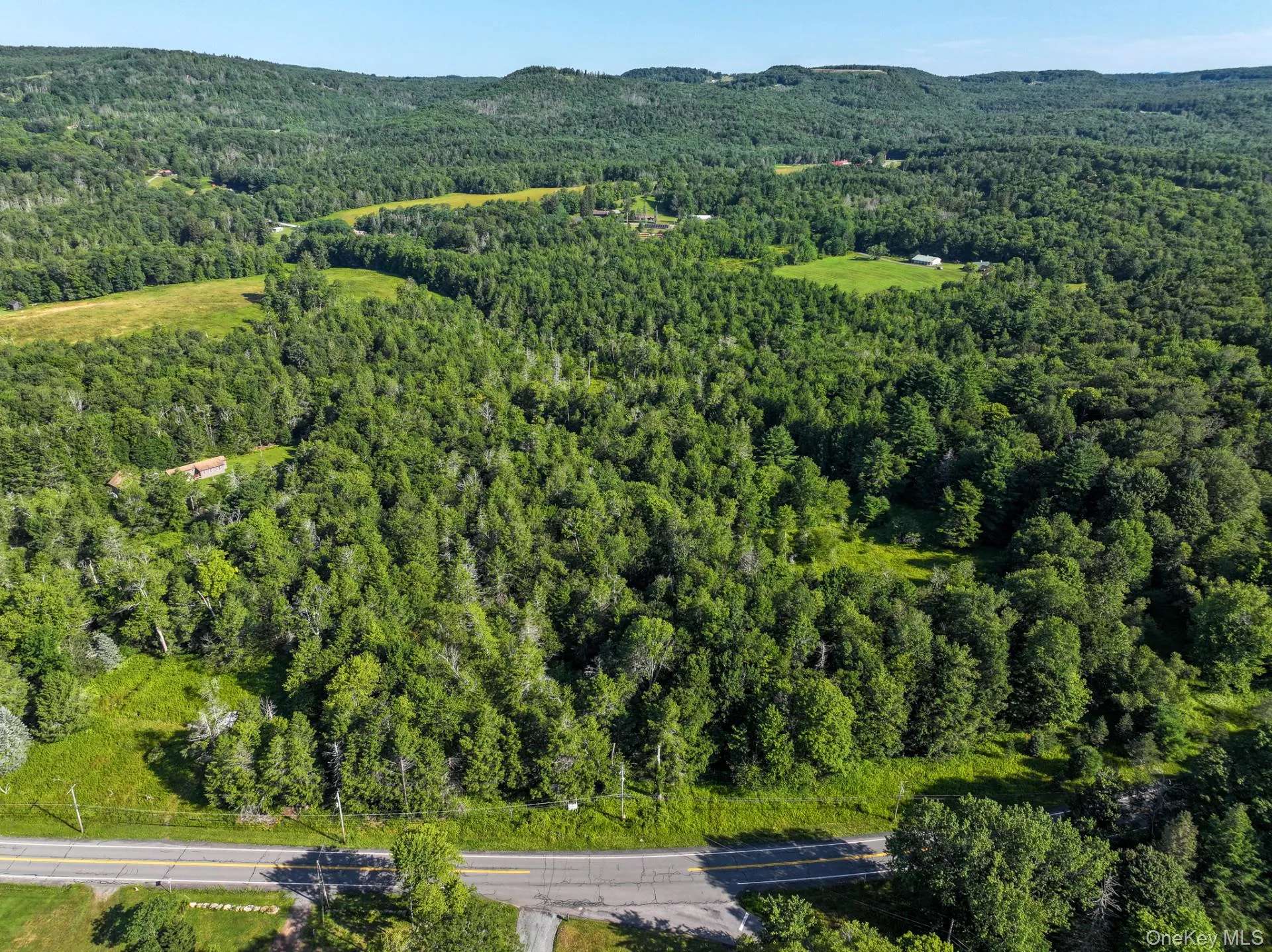 LOT 3 Neversink Road, Liberty, NY, ,Land,For Rent,Neversink,0,1033274 LOT 3 Neversink Road, Liberty, NY, ,Land,For Rent,Neversink,0,1033274