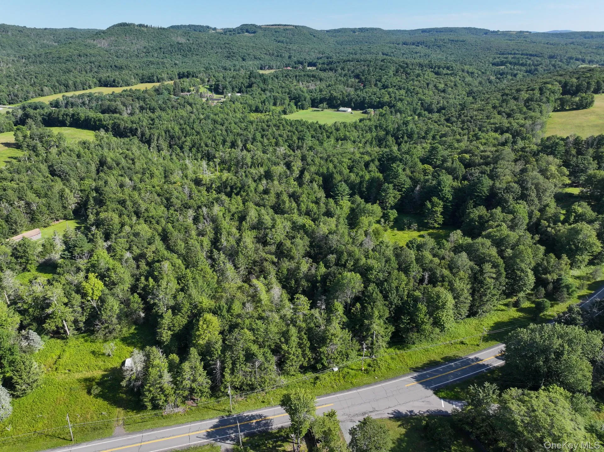 LOT 3 Neversink Road, Liberty, NY, ,Land,For Rent,Neversink,0,1033274 LOT 3 Neversink Road, Liberty, NY, ,Land,For Rent,Neversink,0,1033274