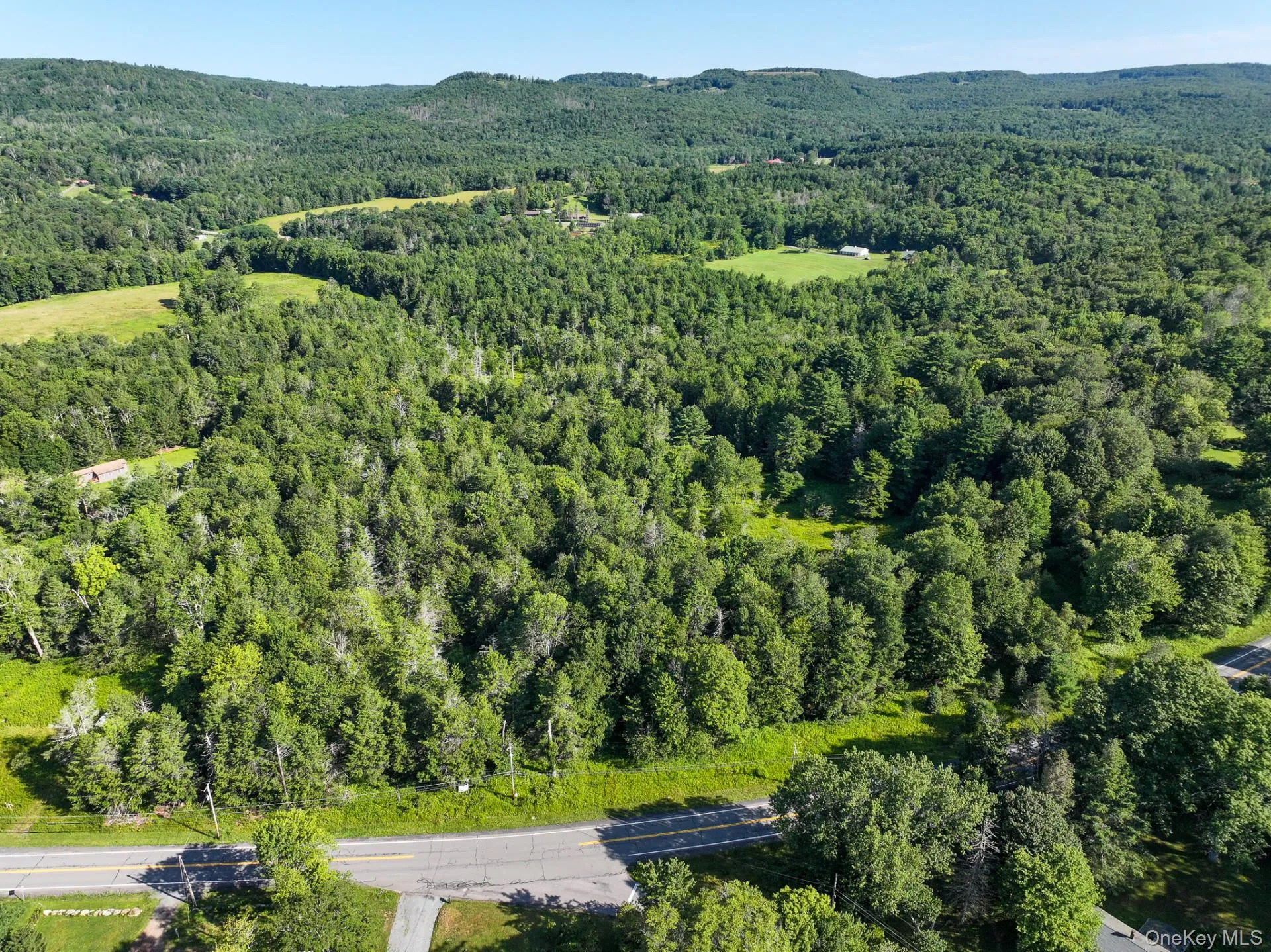 LOT 3 Neversink Road, Liberty, NY, ,Land,For Rent,Neversink,0,1033274 LOT 3 Neversink Road, Liberty, NY, ,Land,For Rent,Neversink,0,1033274