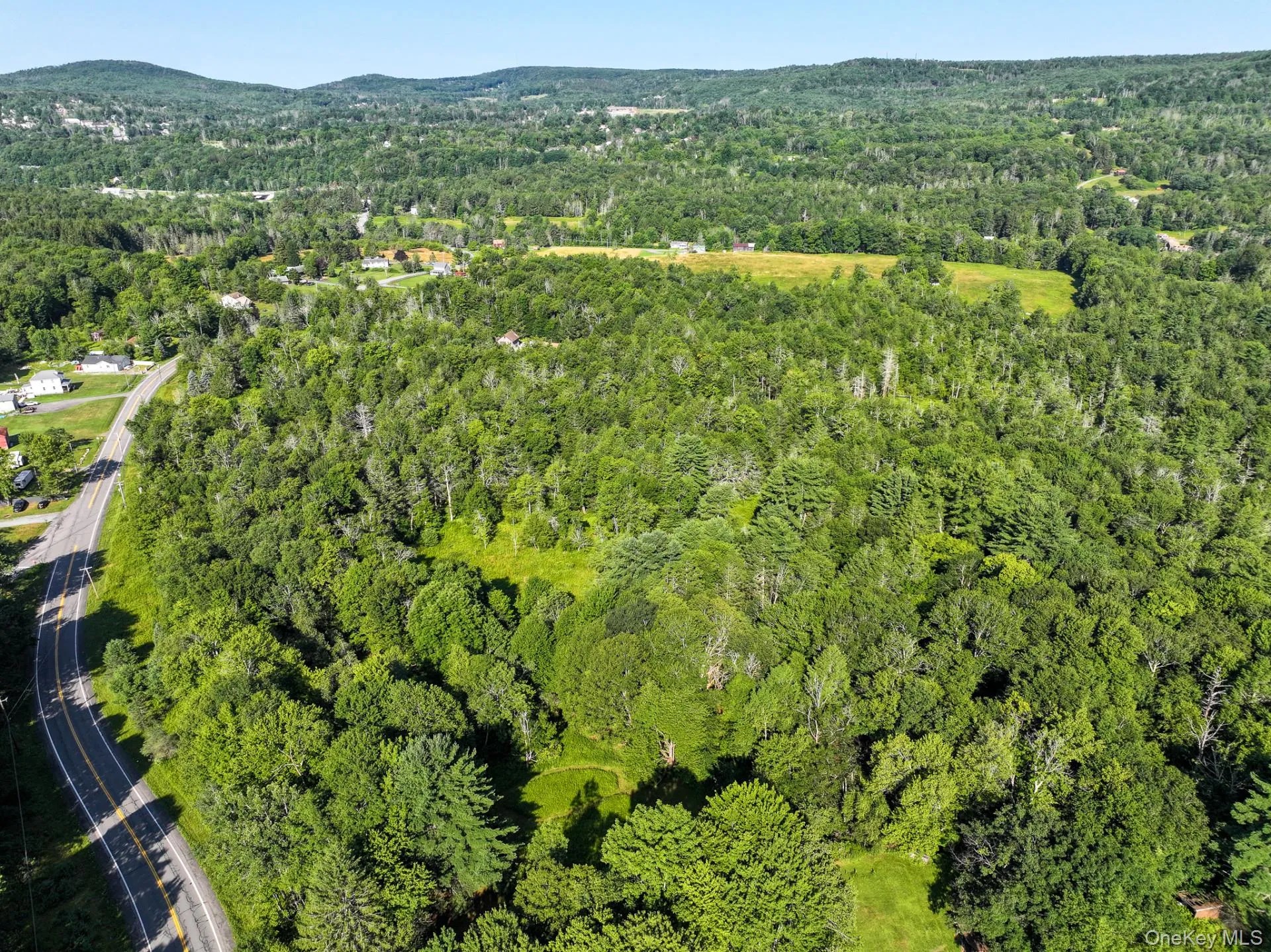LOT 3 Neversink Road, Liberty, NY, ,Land,For Rent,Neversink,0,1033274 LOT 3 Neversink Road, Liberty, NY, ,Land,For Rent,Neversink,0,1033274