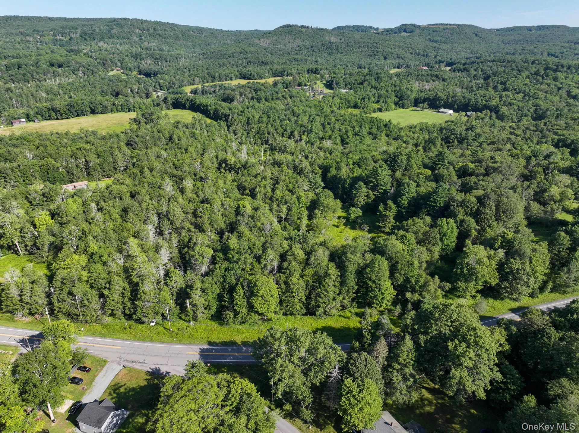 LOT 3 Neversink Road, Liberty, NY, ,Land,For Rent,Neversink,0,1033274 LOT 3 Neversink Road, Liberty, NY, ,Land,For Rent,Neversink,0,1033274