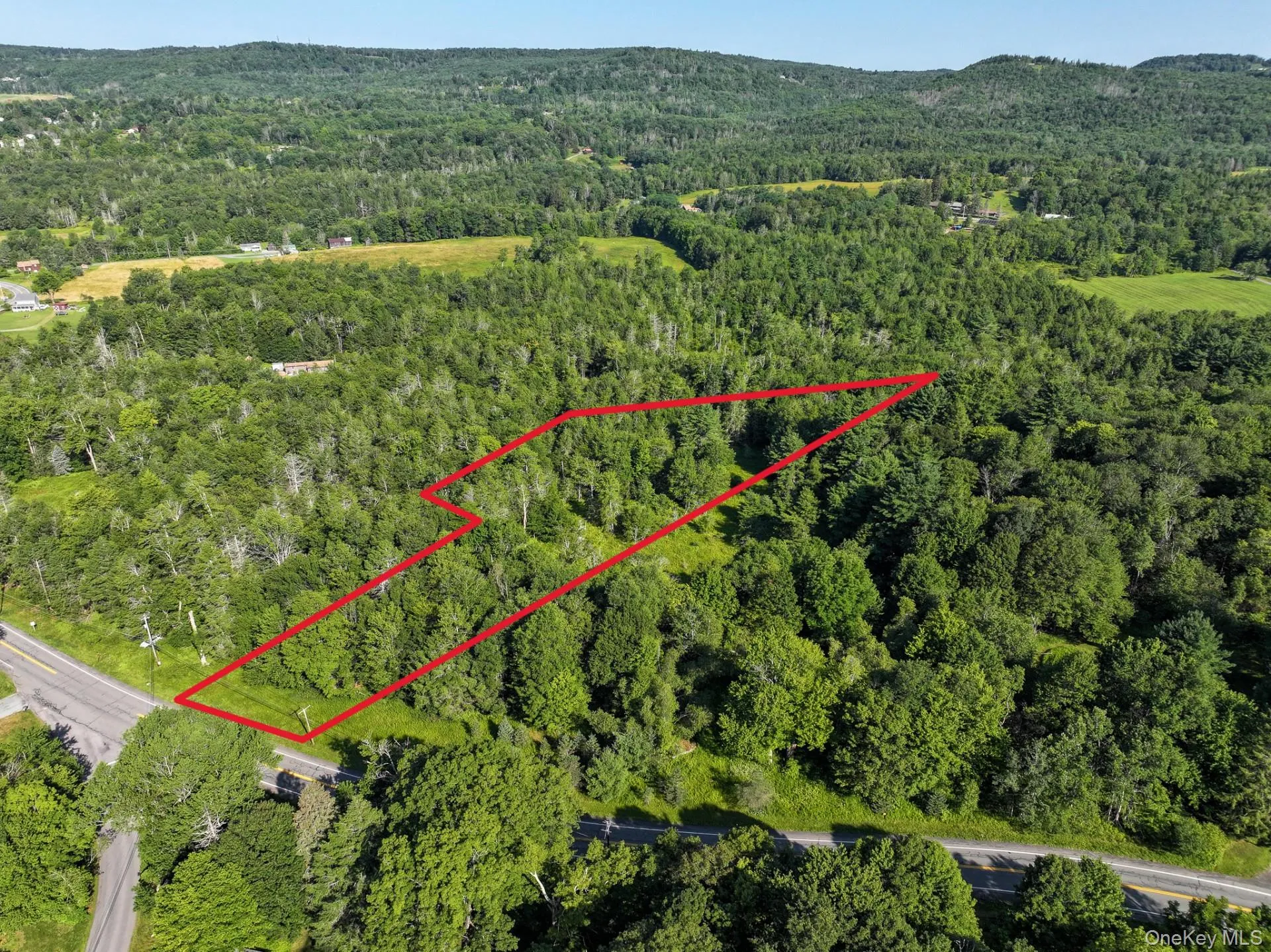 LOT 3 Neversink Road, Liberty, NY, ,Land,For Rent,Neversink,0,1033274 LOT 3 Neversink Road, Liberty, NY, ,Land,For Rent,Neversink,0,1033274